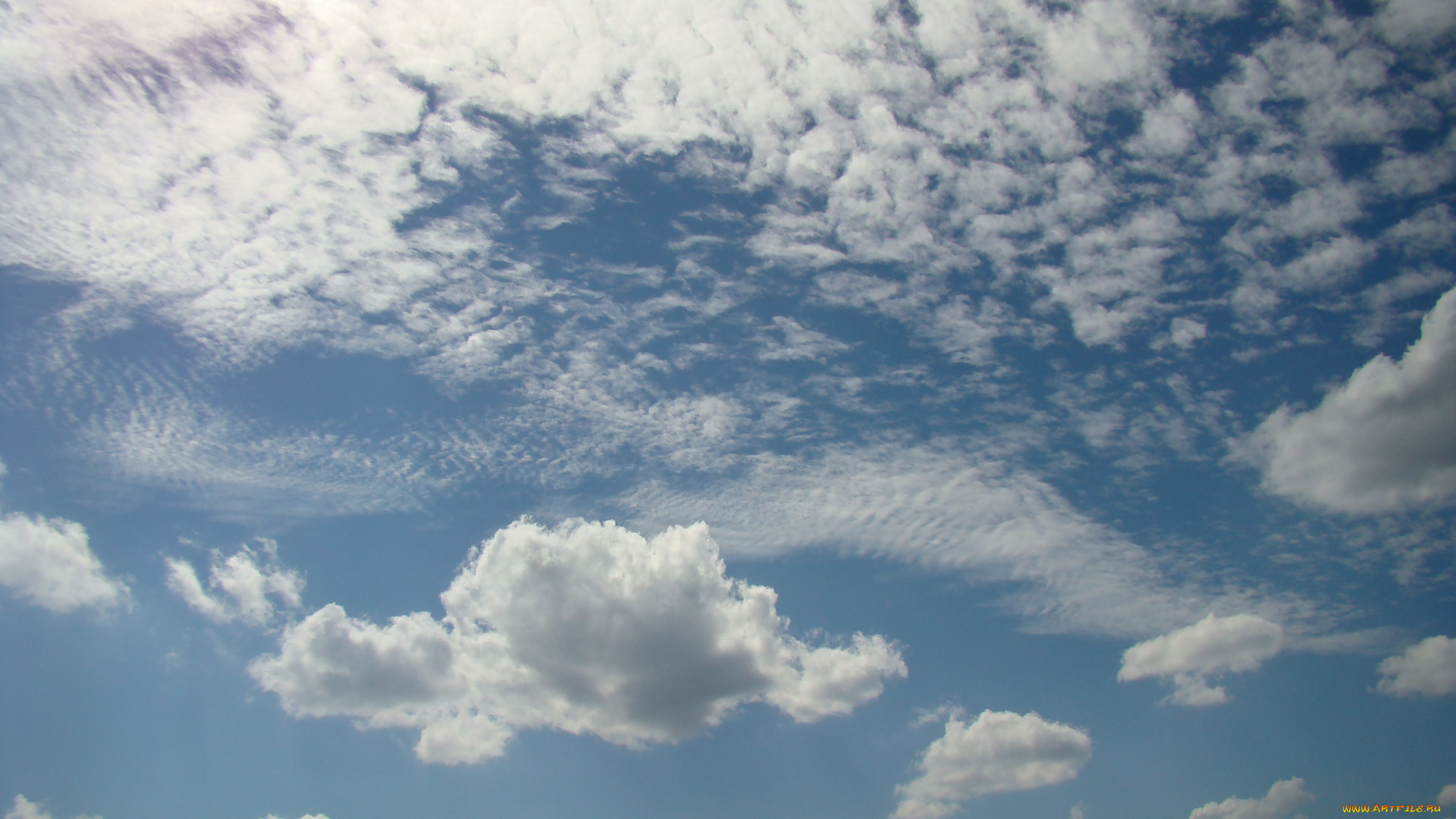 природа, облака, парк