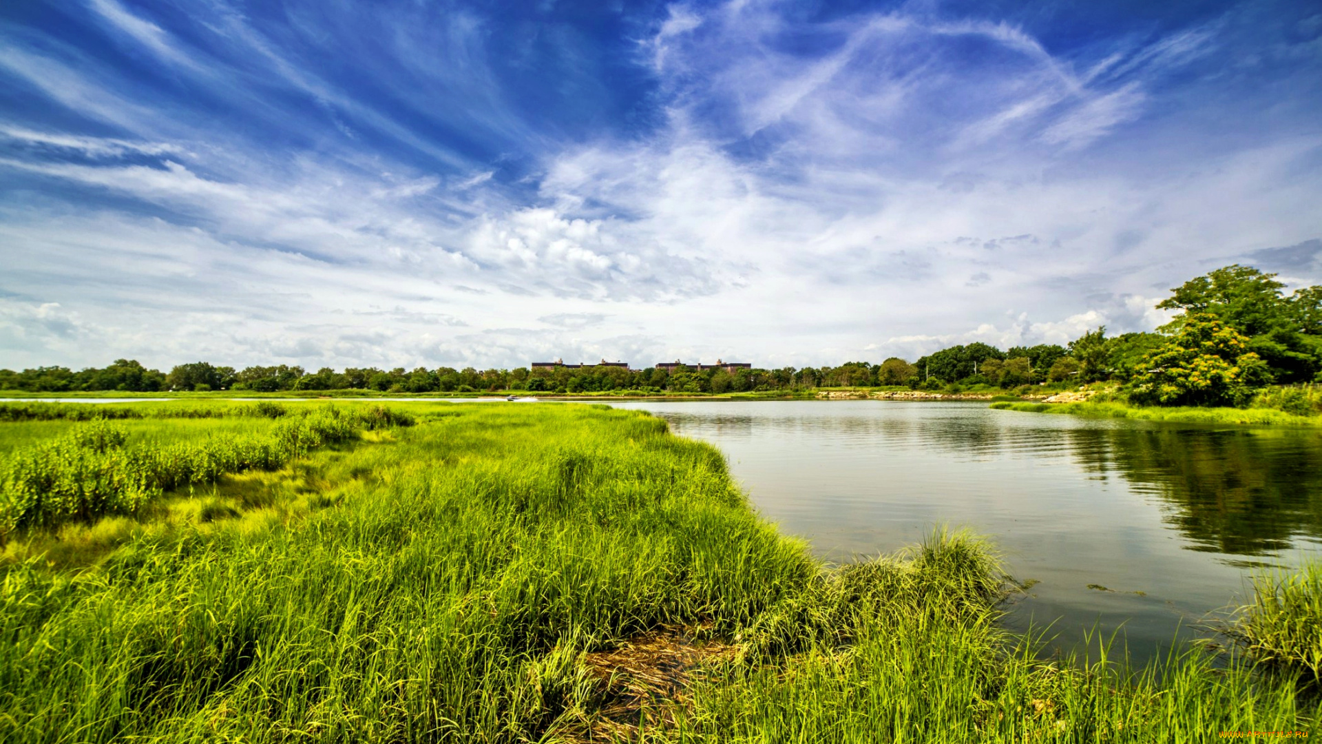 природа, реки, озера, поле, река, трава, деревья