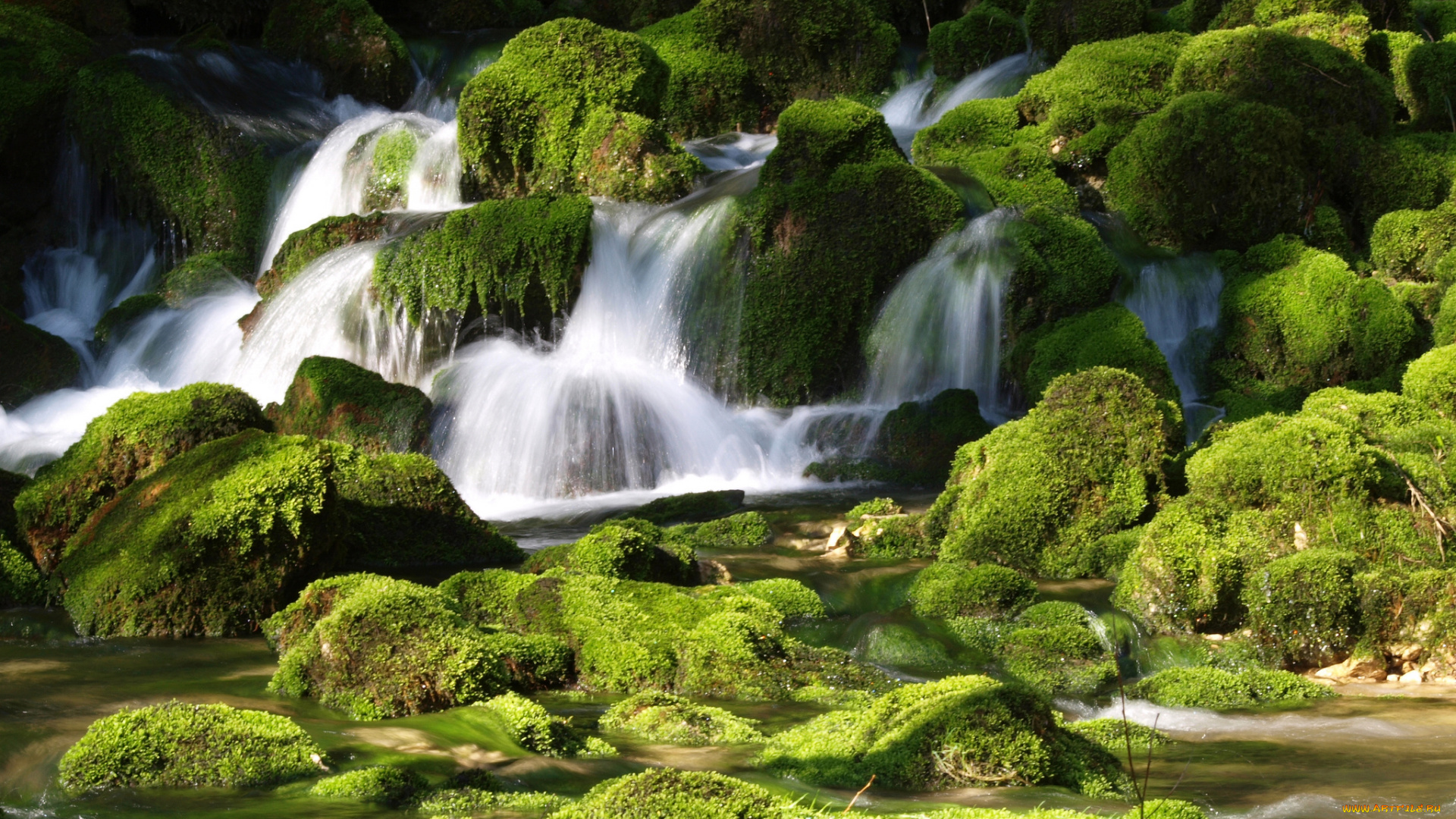 природа, реки, озера, речка, ручей, камни, мох