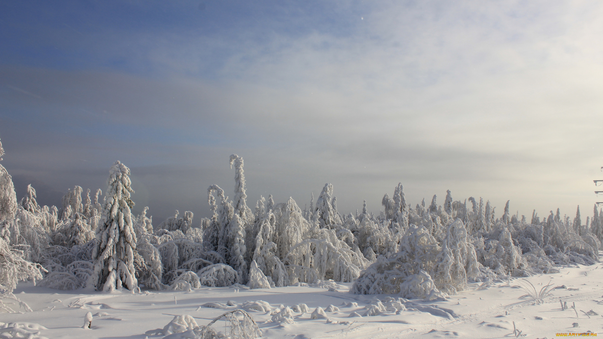 природа, зима, снег, деревья