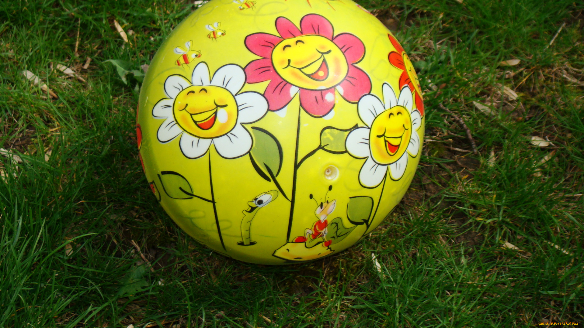 разное, игрушки, природа