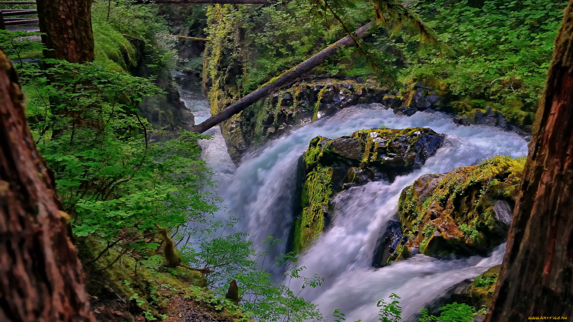 sol, duc, falls, olympic, national, park, washington, природа, водопады, олимпик, река, поток, мост, лес, river, национальный, парк, вашингтон