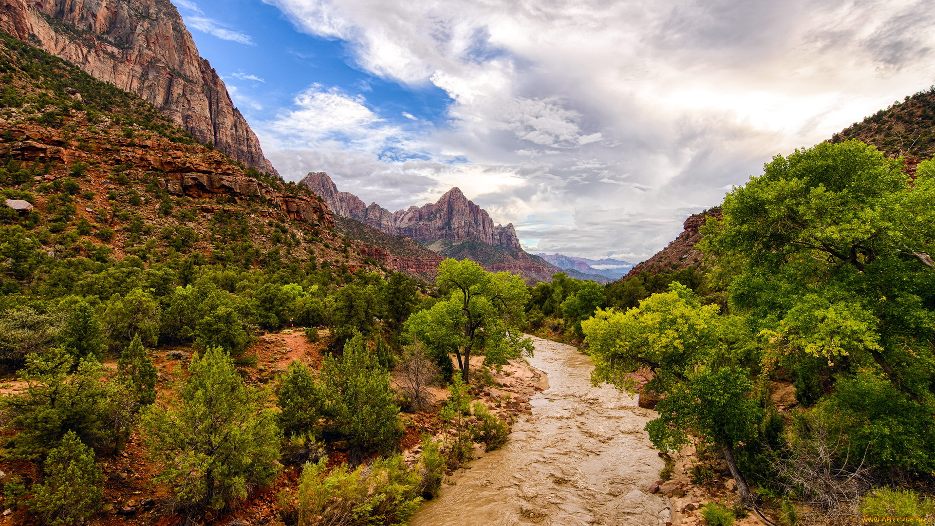 zion, national, park, природа, горы, скалы, камни, дорога, деревья