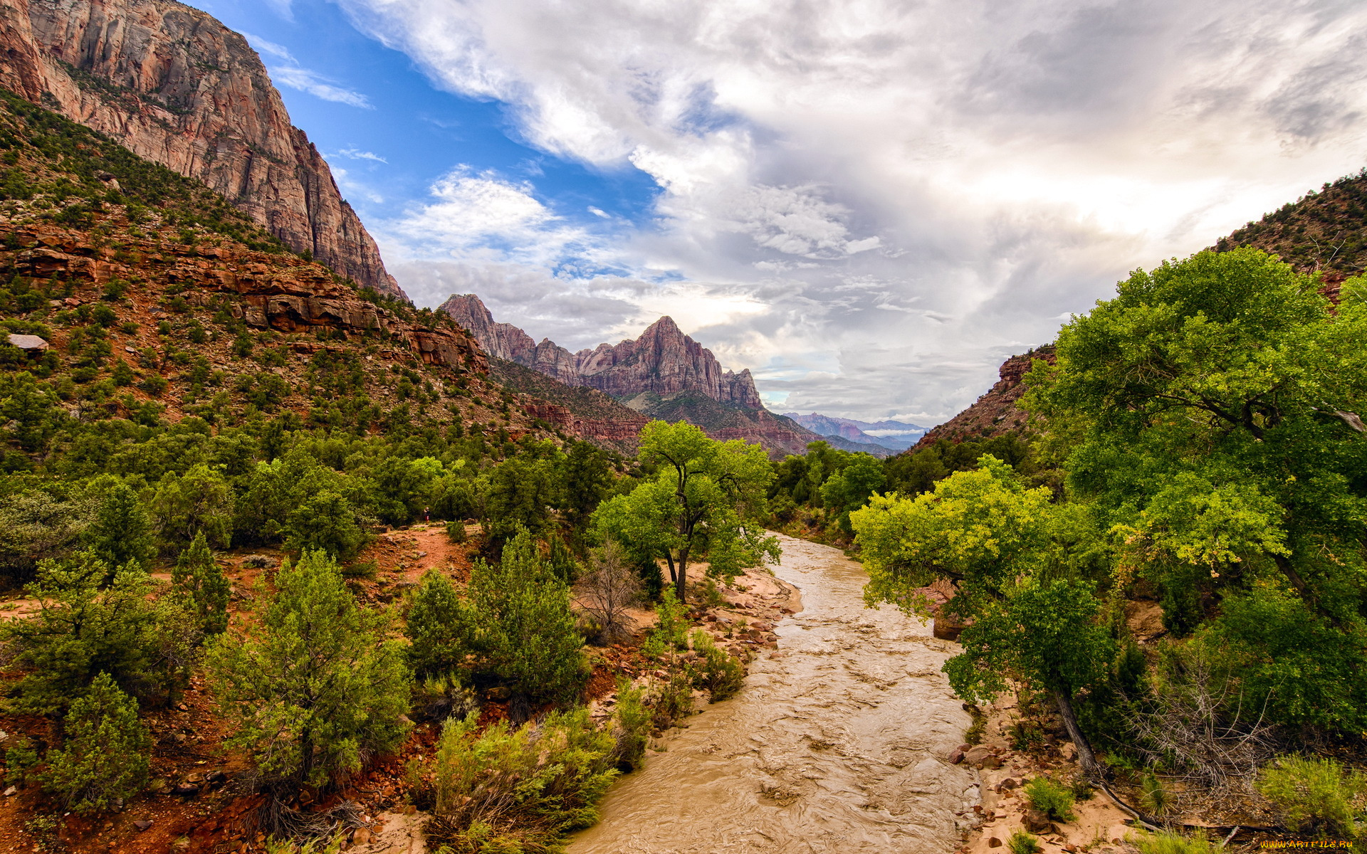 zion, national, park, природа, горы, скалы, камни, дорога, деревья