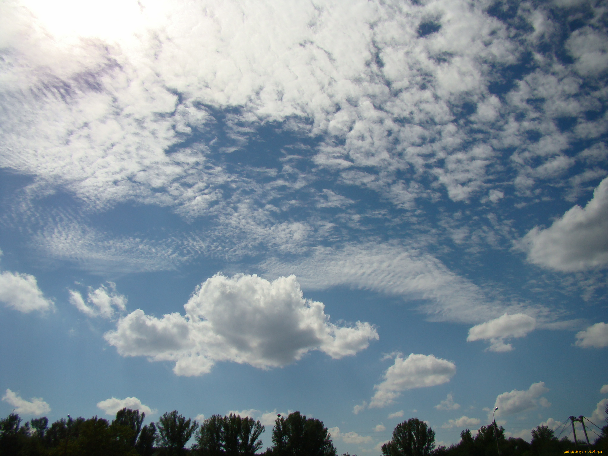 природа, облака, парк