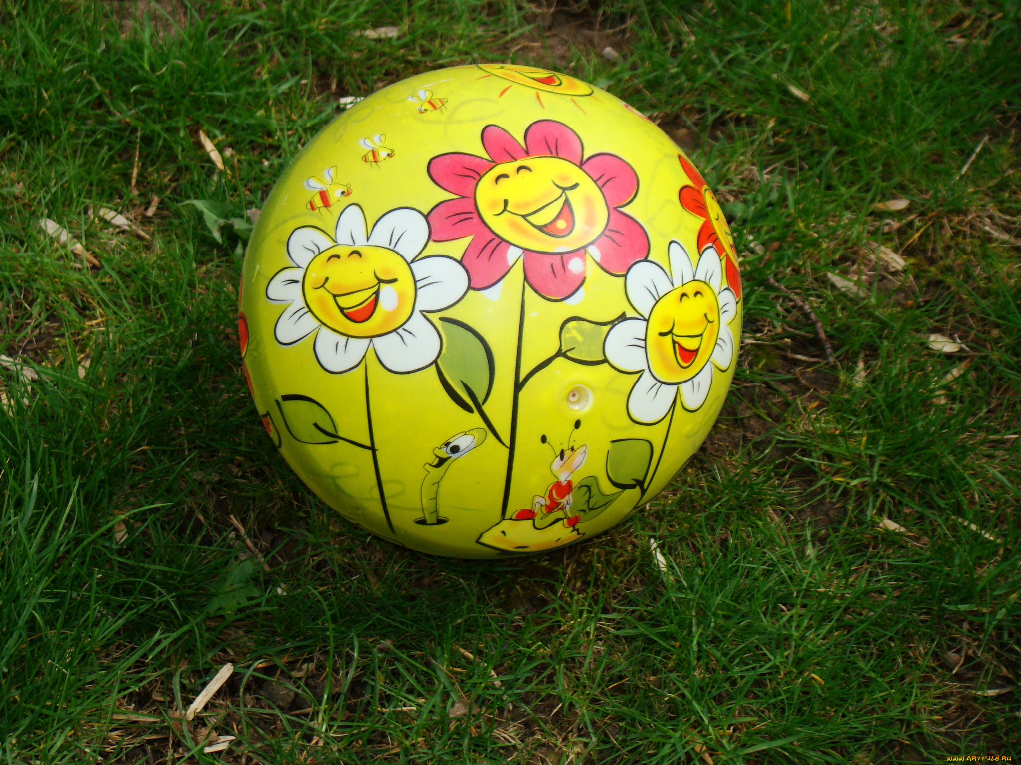 разное, игрушки, природа