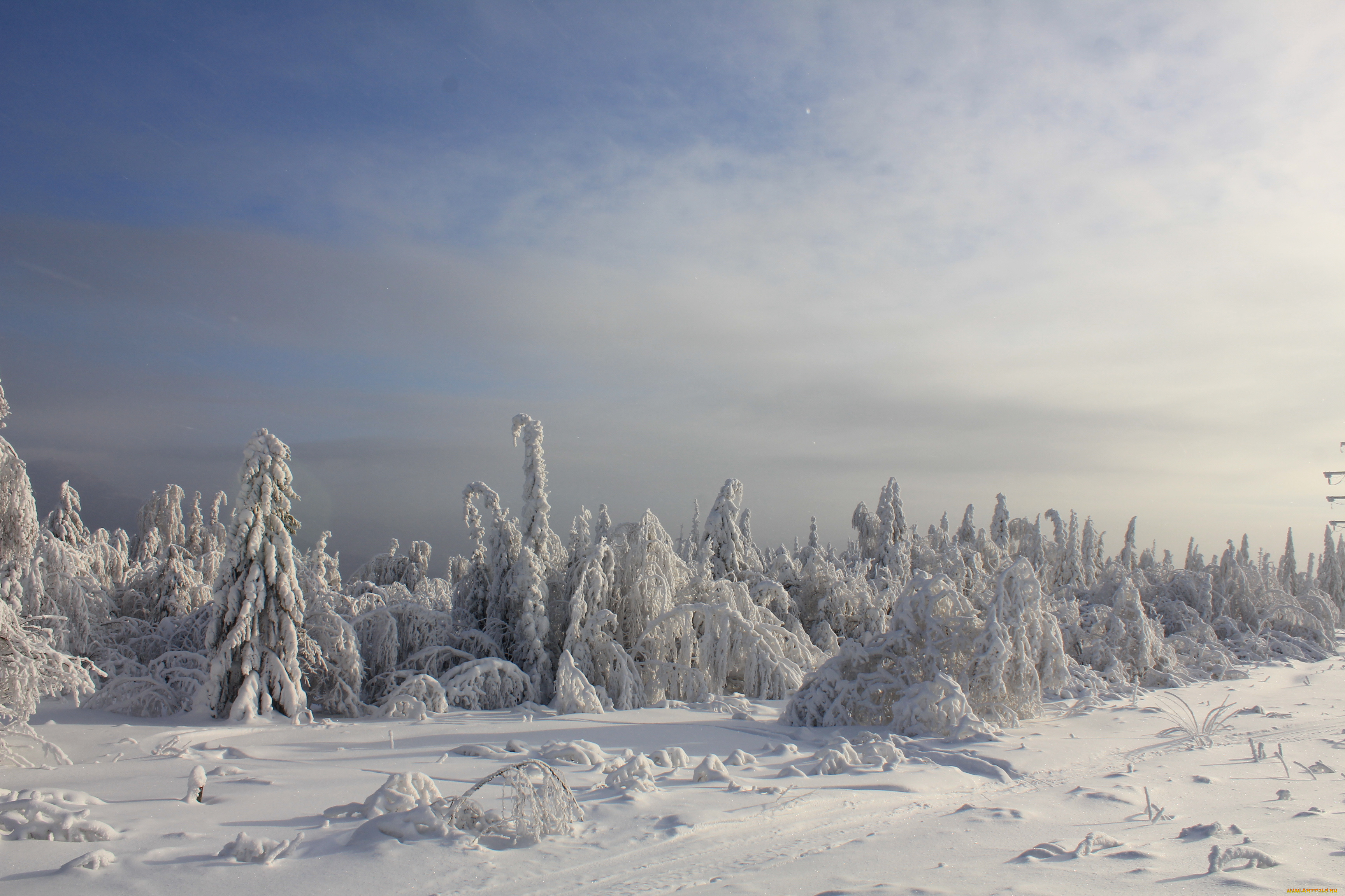 природа, зима, снег, деревья