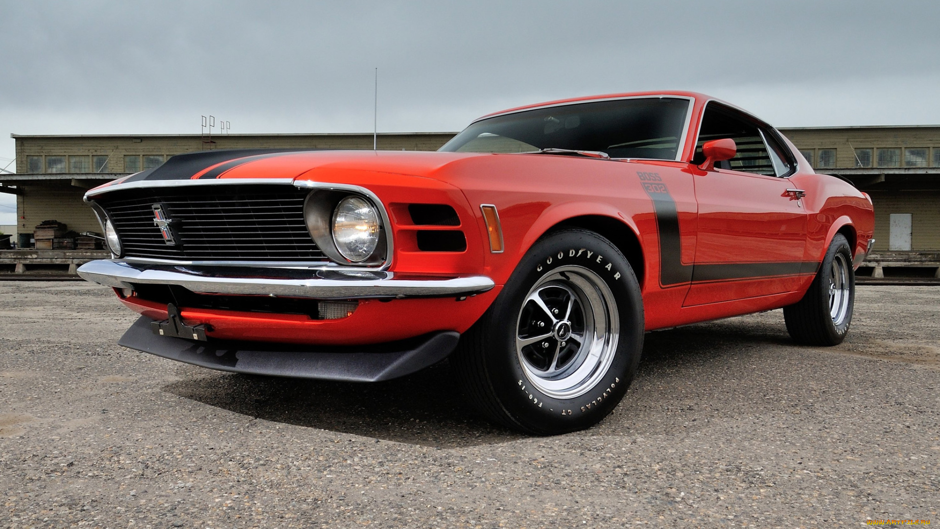 автомобили, mustang