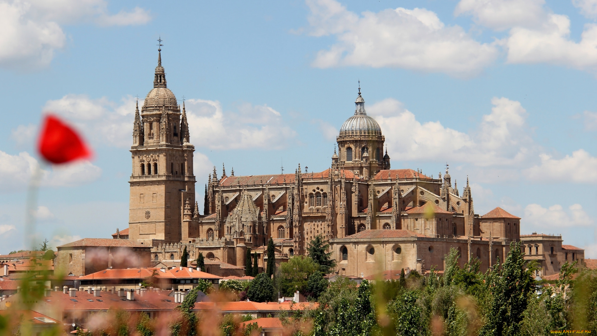 salamanca, enso&, 209, adora, города, -, католические, соборы, , костелы, , аббатства, испания, собор