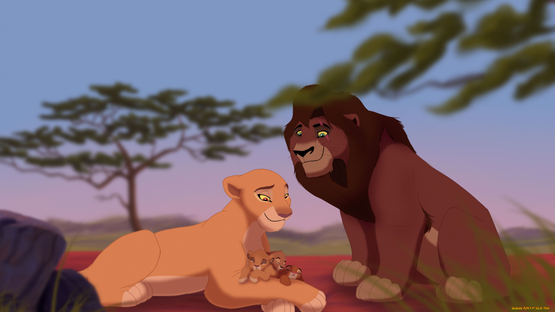 векторная, графика, мультфильмы, , cartoons, львы