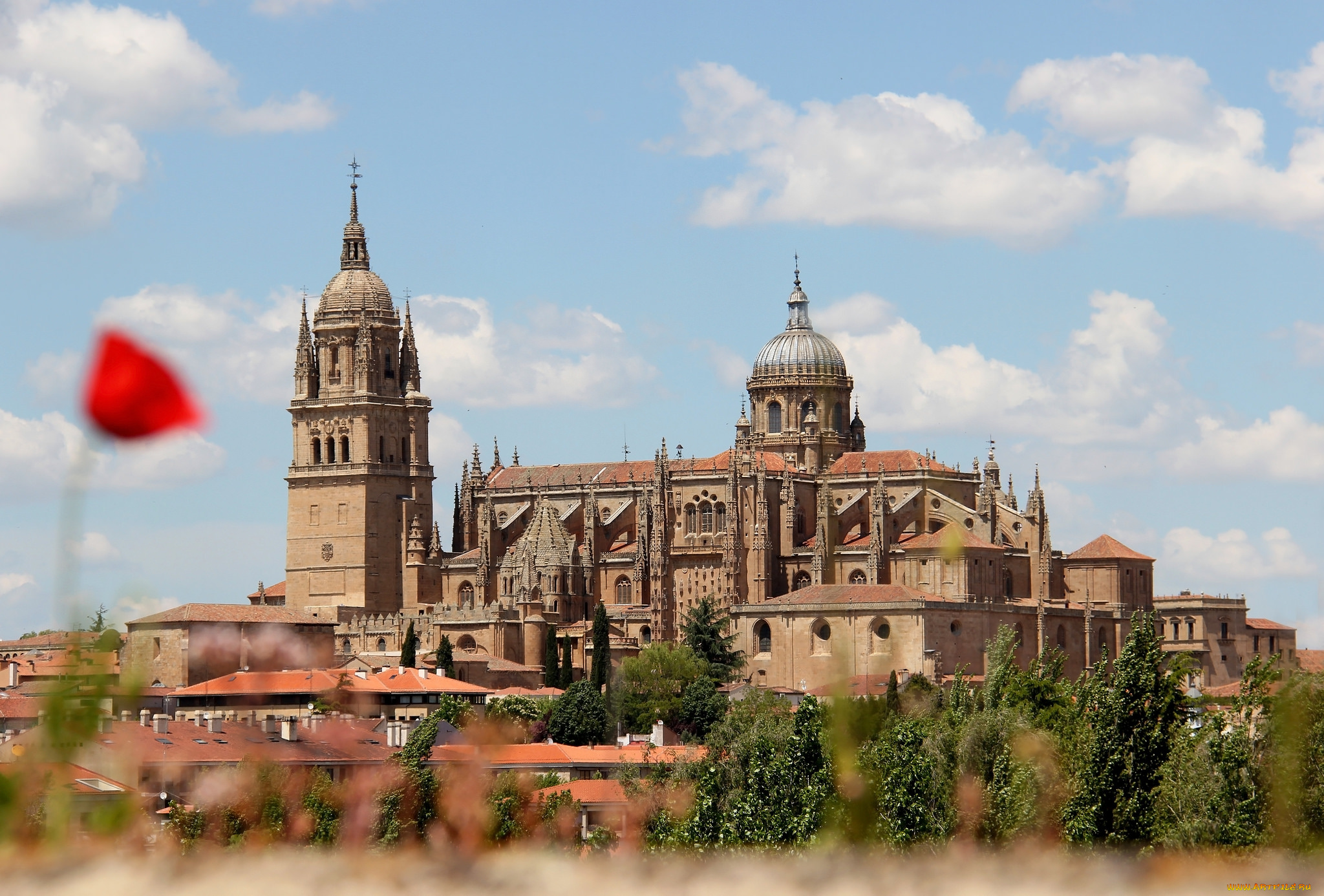 salamanca, enso&, 209, adora, города, -, католические, соборы, , костелы, , аббатства, испания, собор