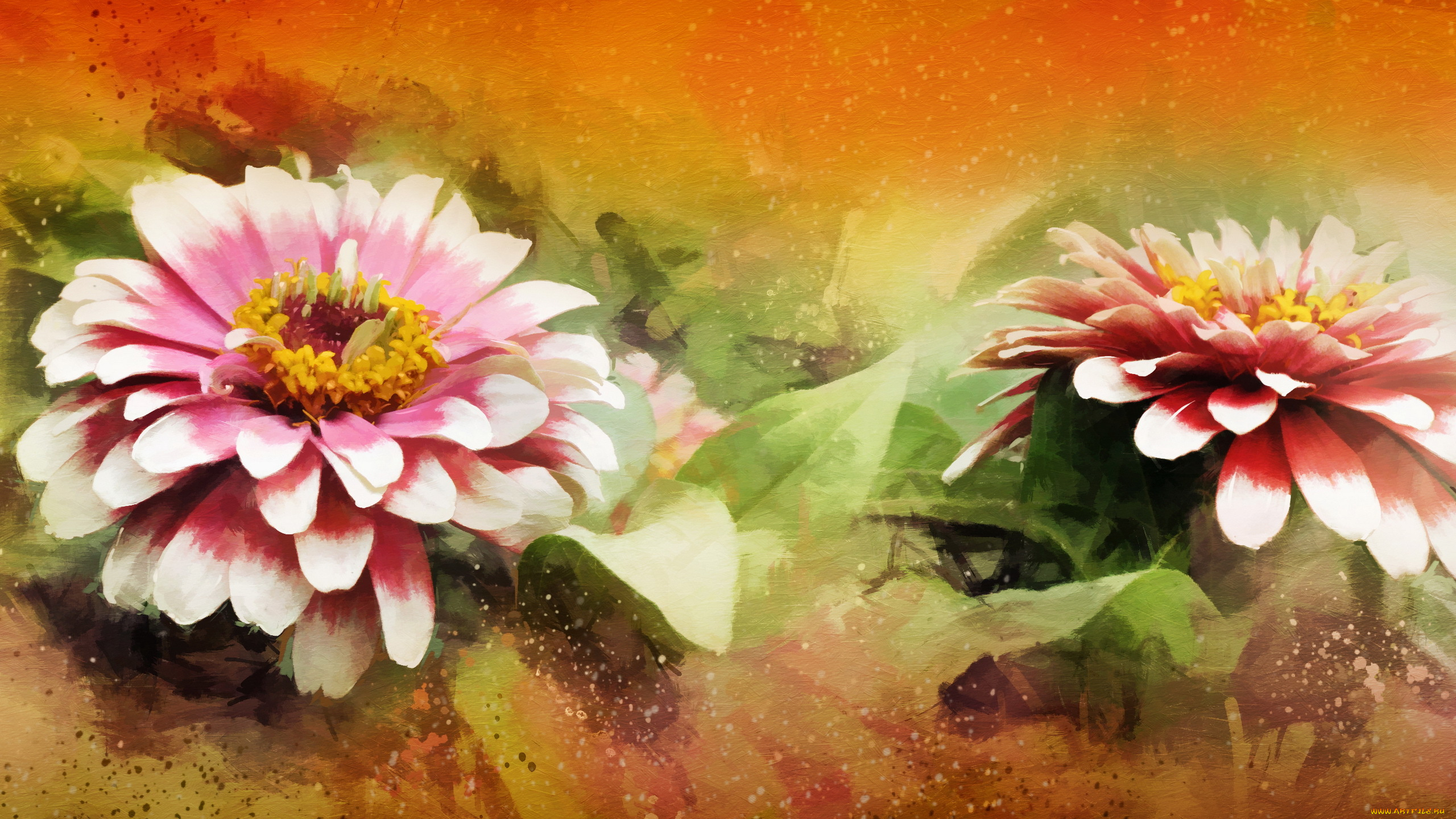 рисованное, цветы, природа, фон