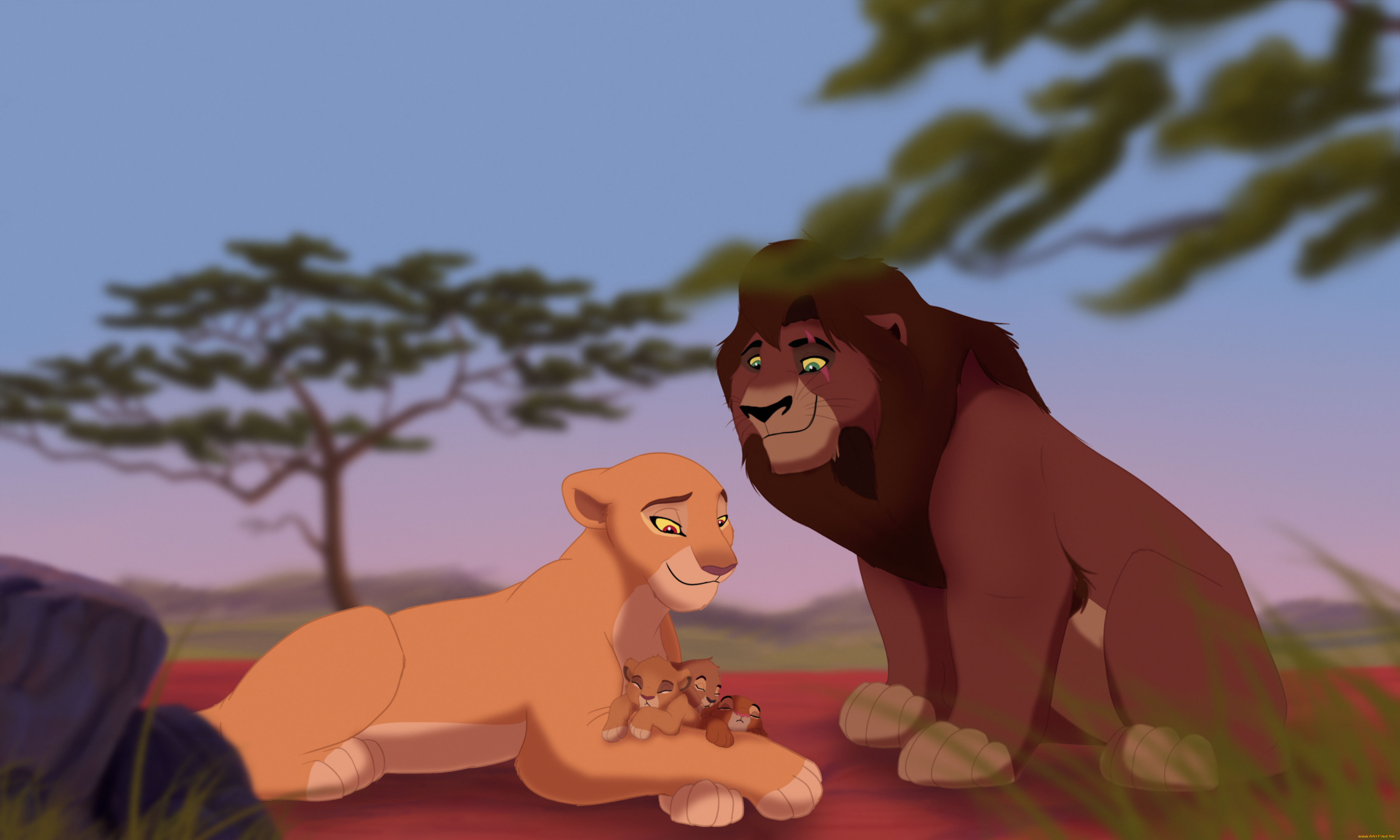 векторная, графика, мультфильмы, , cartoons, львы