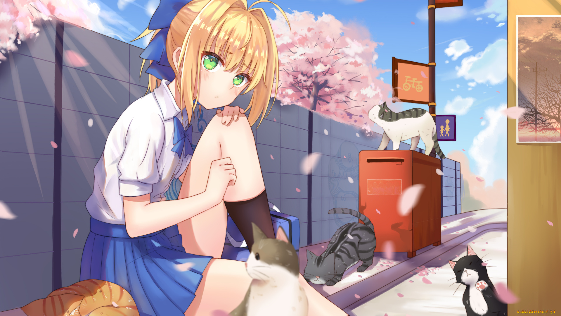 аниме, fate, stay, night, сейбер