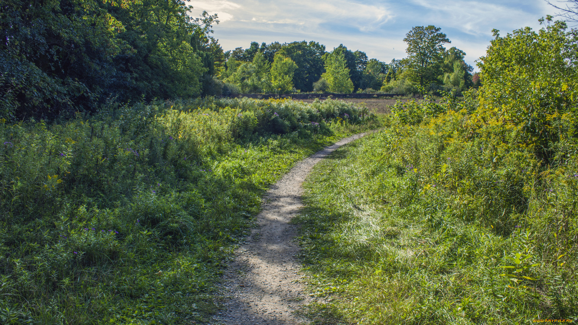 природа, дороги, тропа