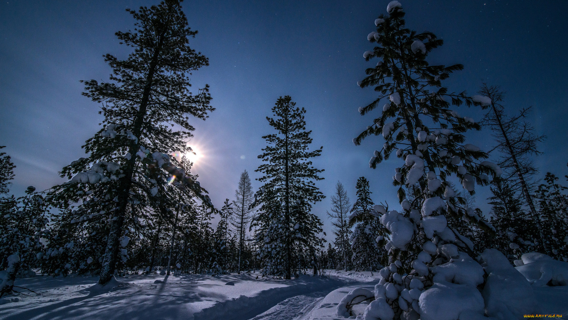 природа, зима, снег