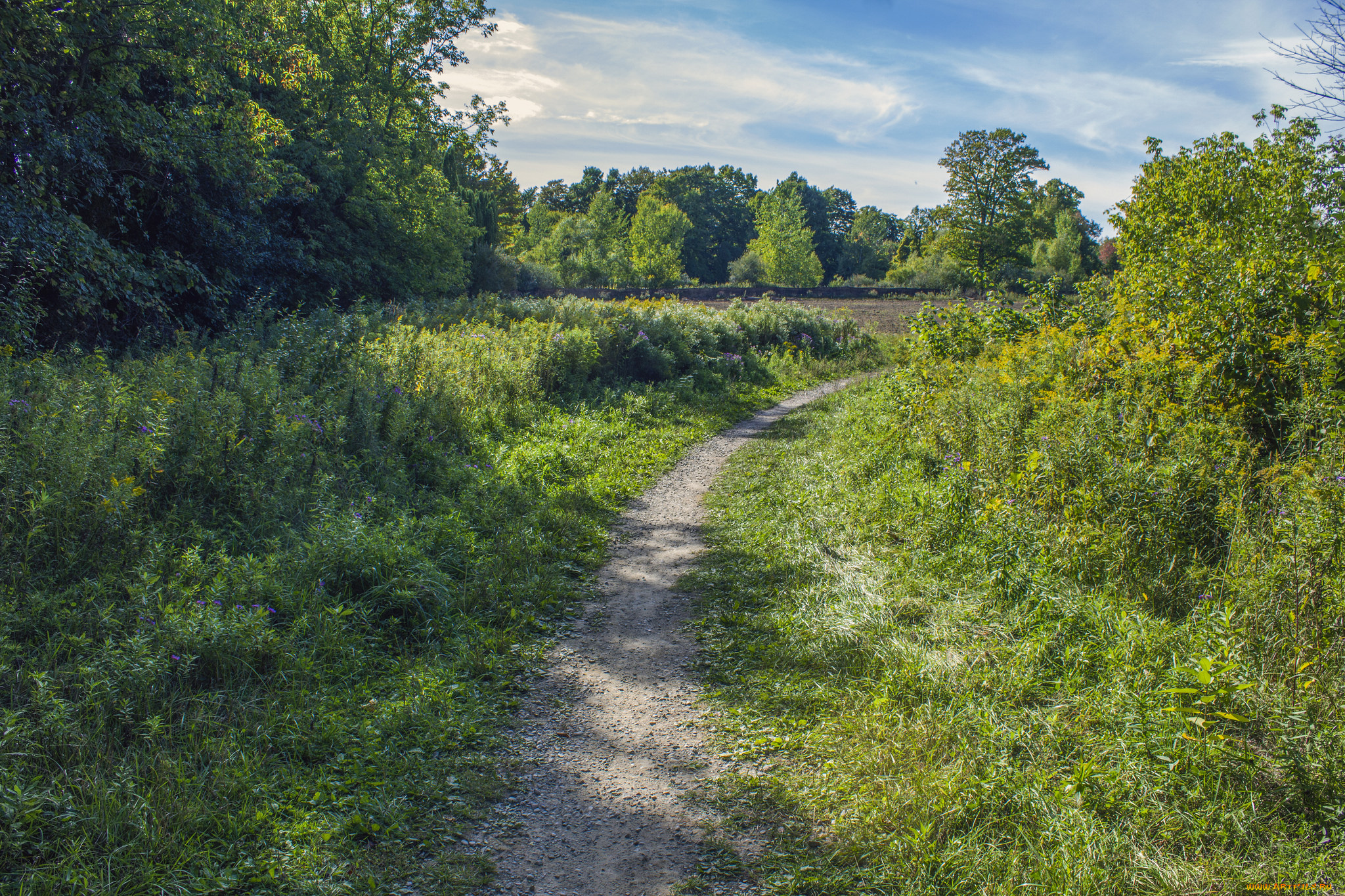 природа, дороги, тропа