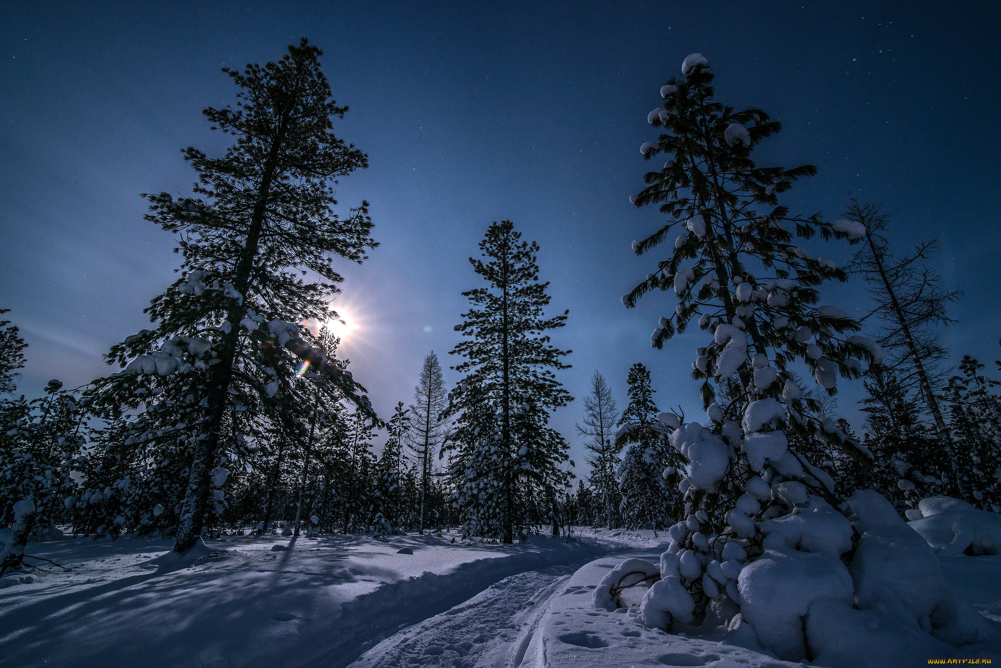 природа, зима, снег