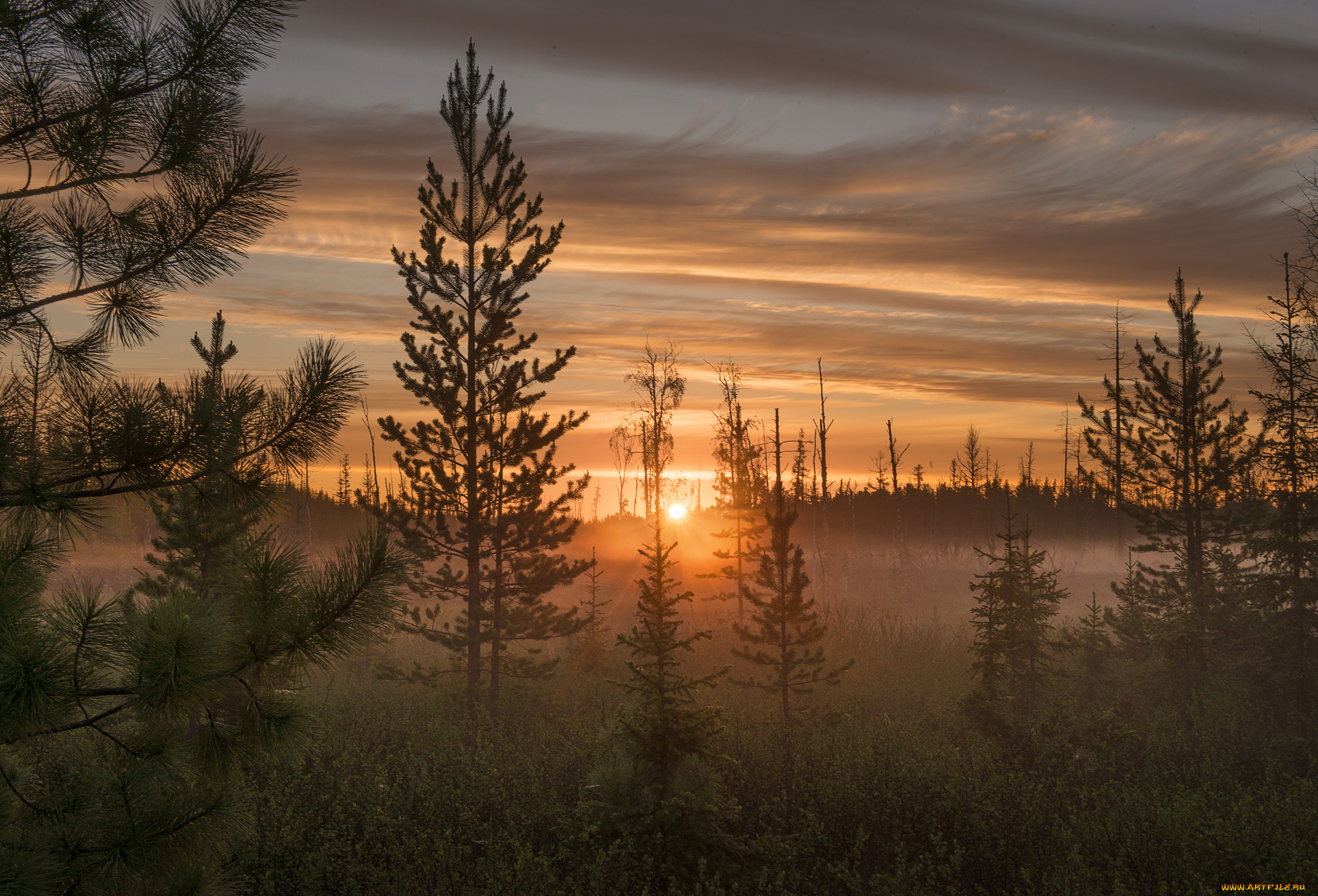 природа, восходы, закаты, рассвет