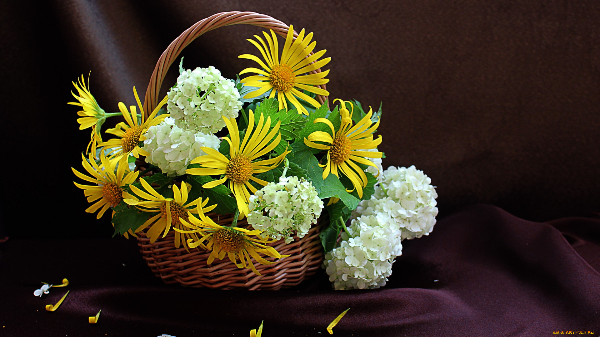 цветы, букеты, , композиции, ткань, корзина, дороникум, лепестки, букет, гортензия