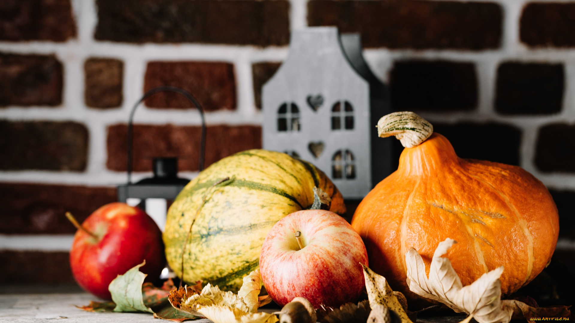 еда, фрукты, и, овощи, вместе, осенние, плоды, тыква, яблоки, осень, листья