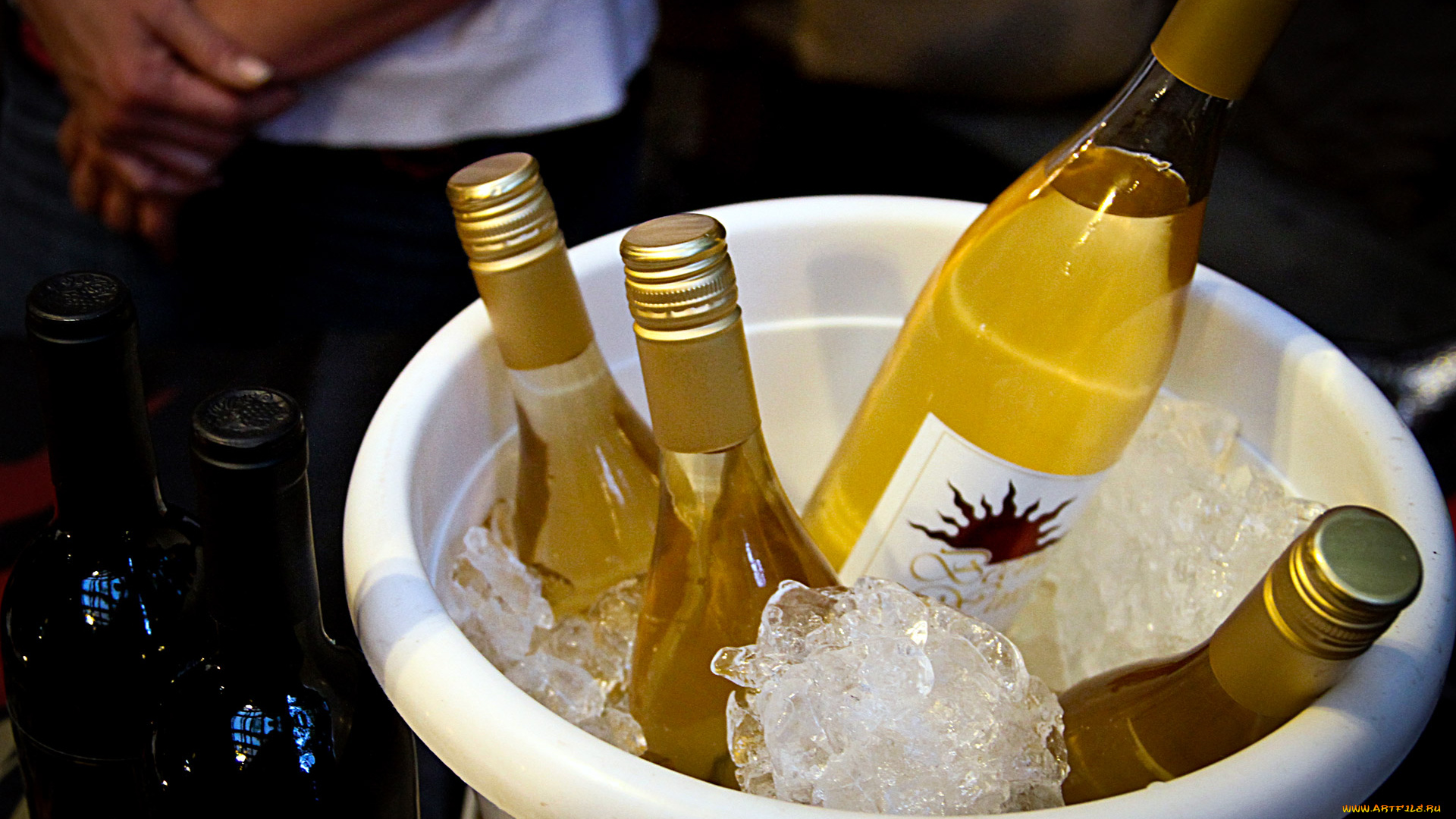 еда, напитки, , вино, лед, белое, вино, бутылки