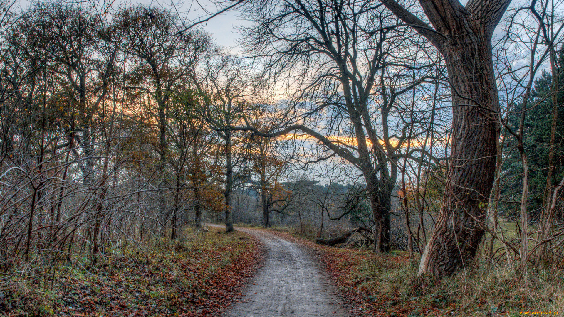 природа, дороги, простор