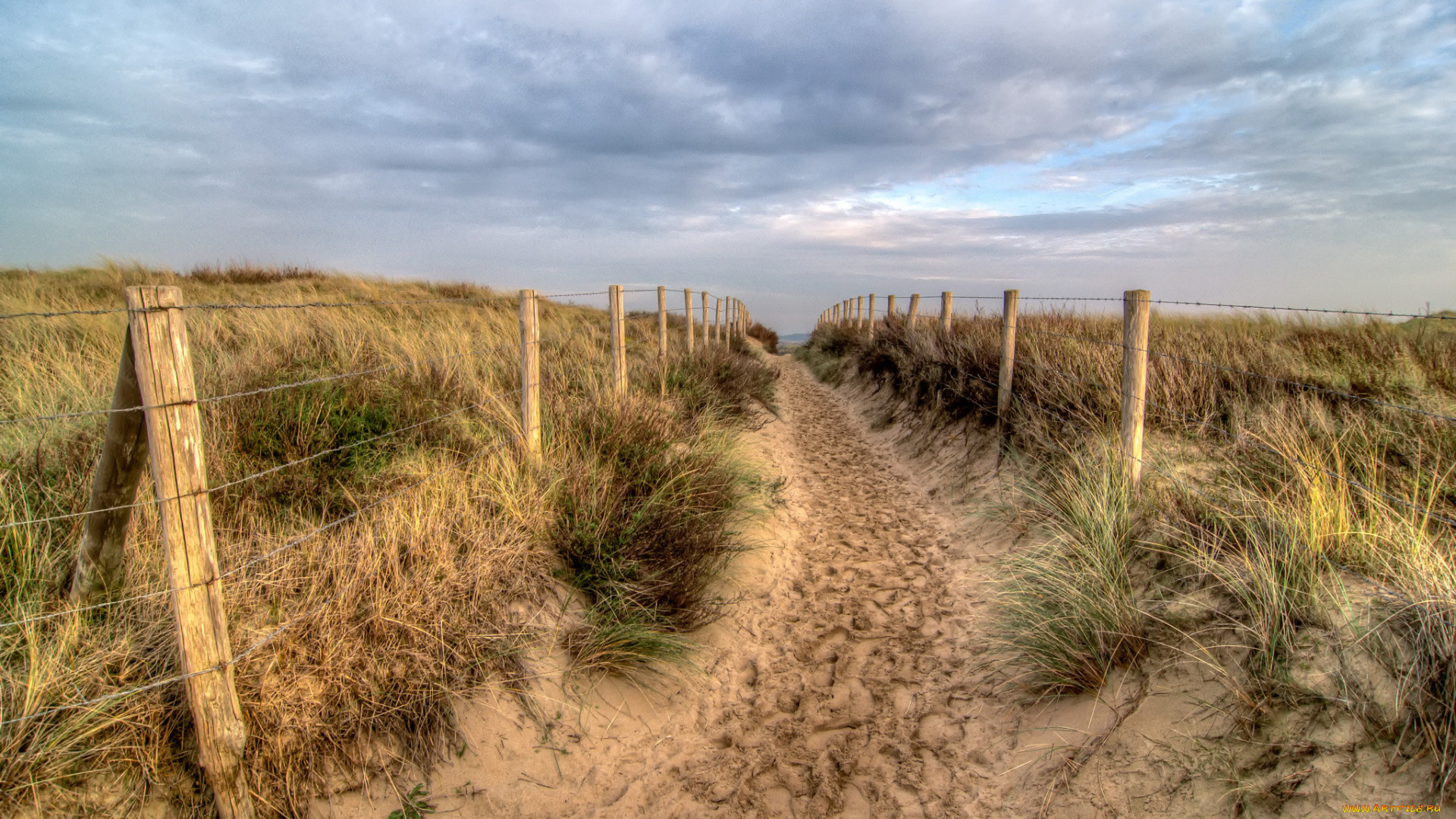 природа, дороги, простор