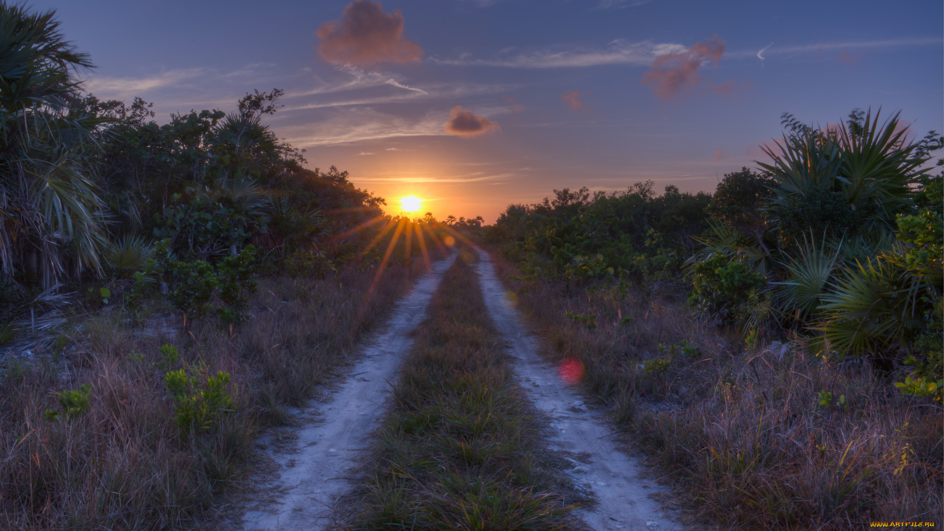 природа, дороги, простор