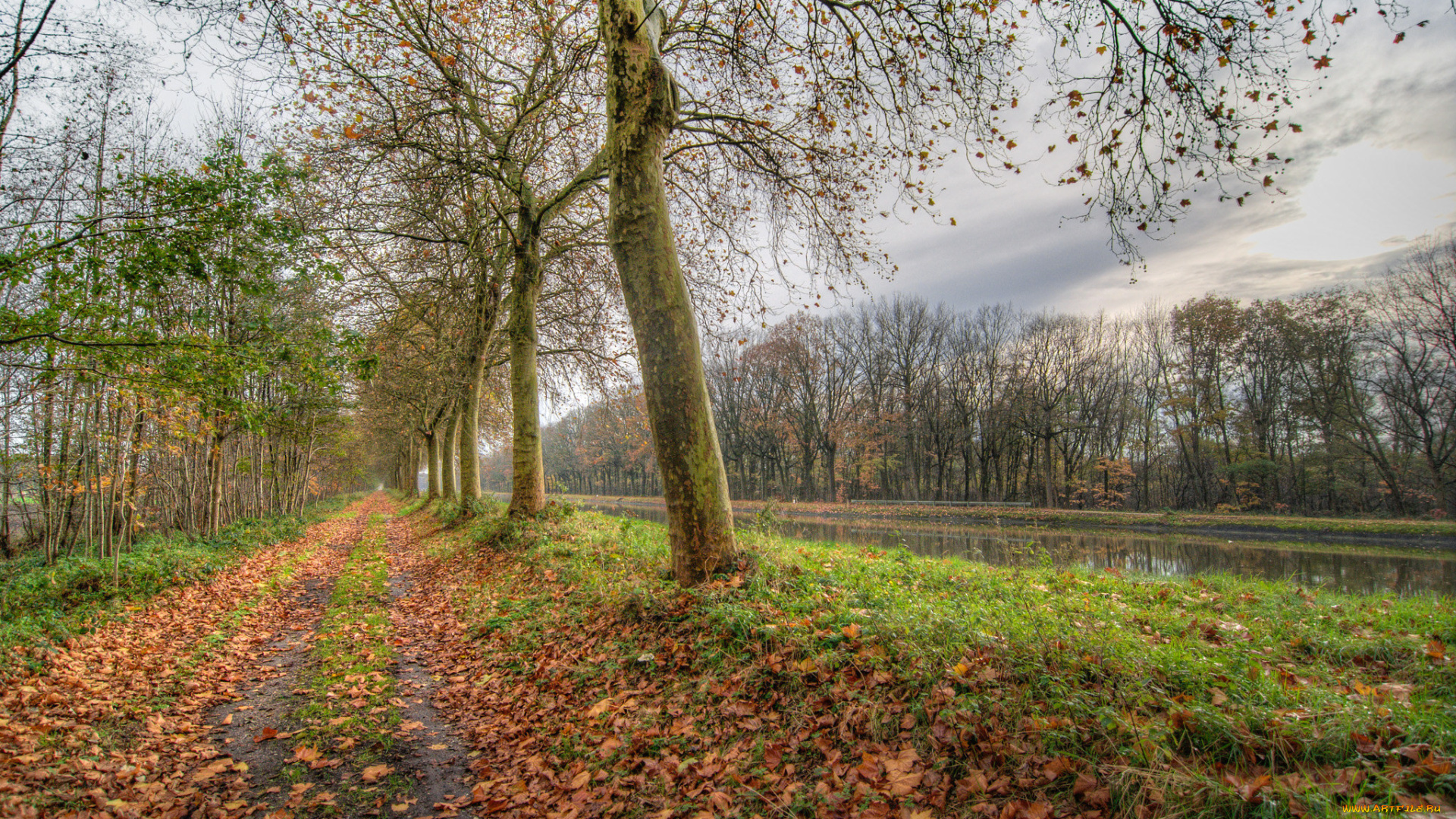 природа, пейзажи, простор