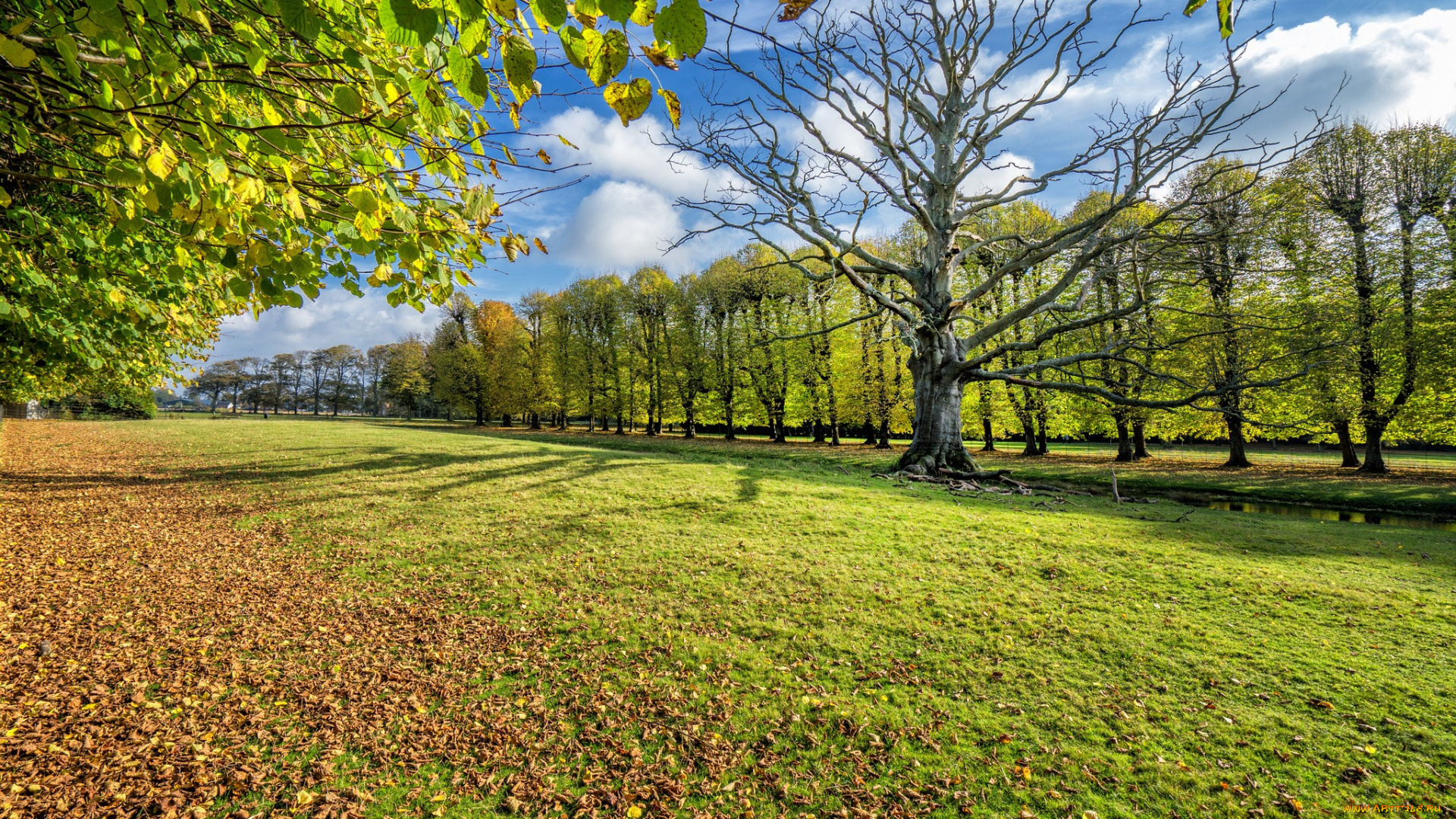 природа, пейзажи, простор