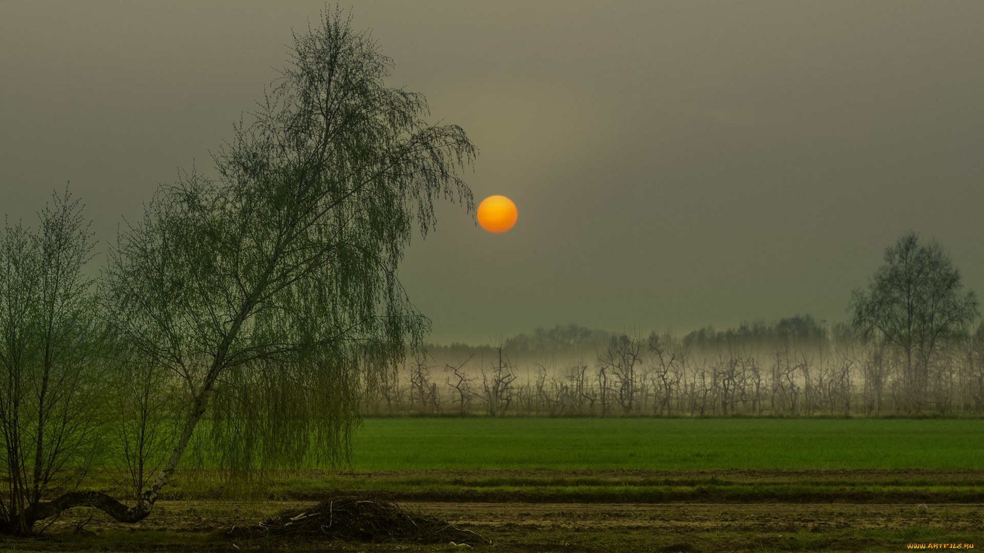 природа, пейзажи, простор