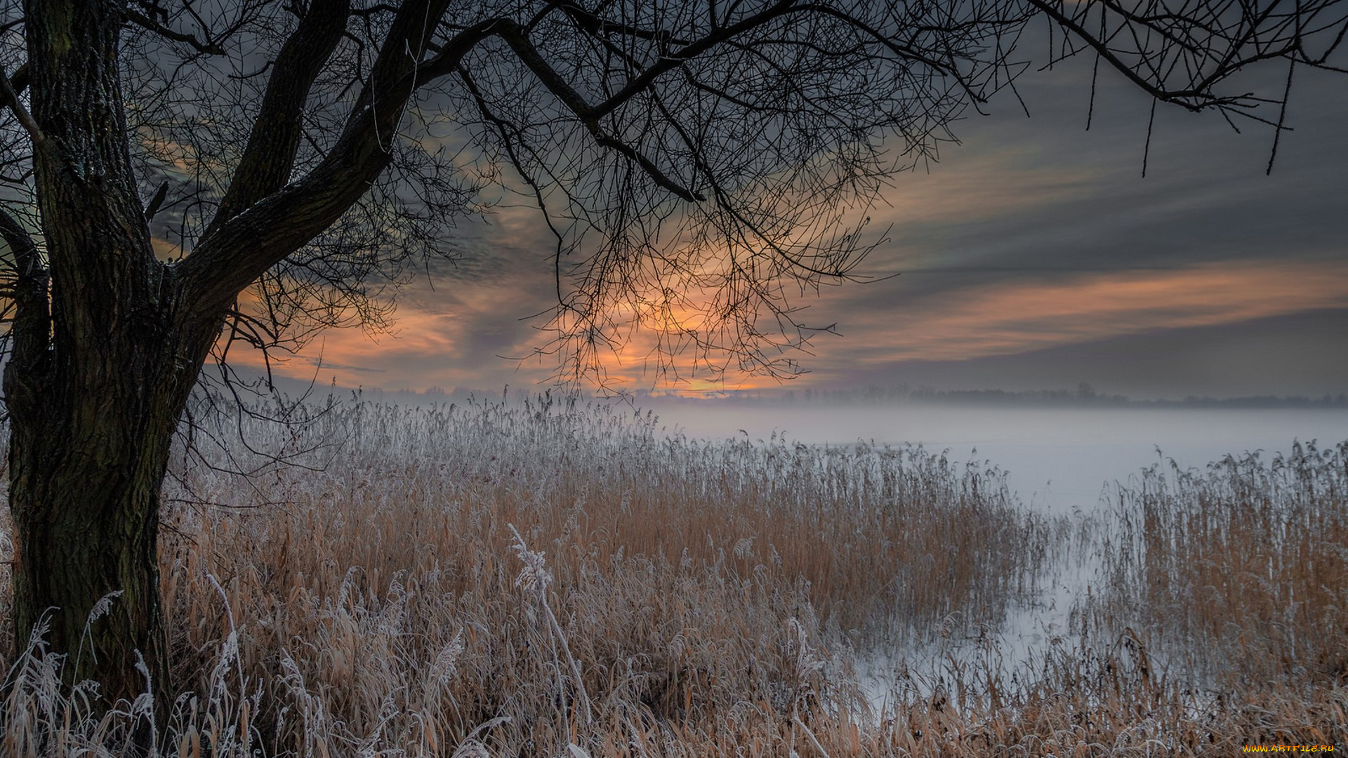 природа, пейзажи, простор