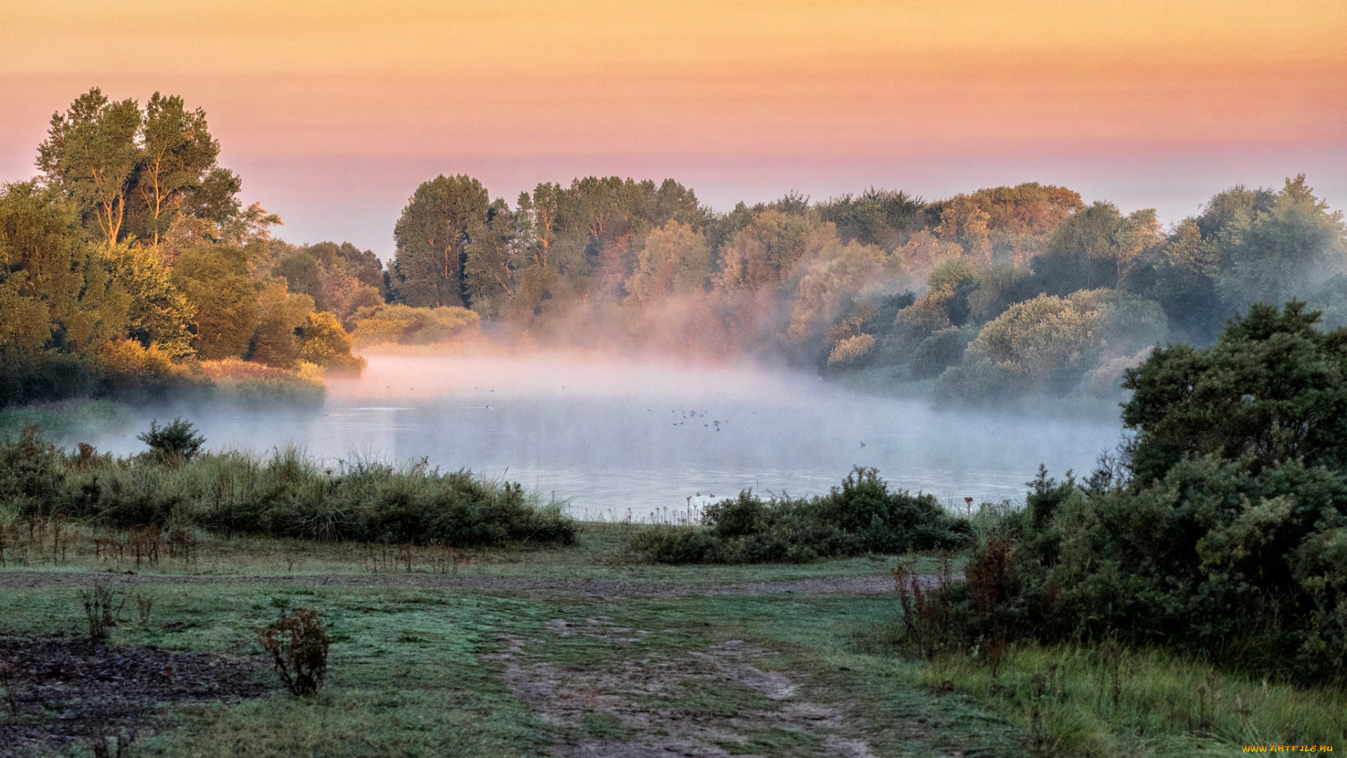 природа, пейзажи, простор
