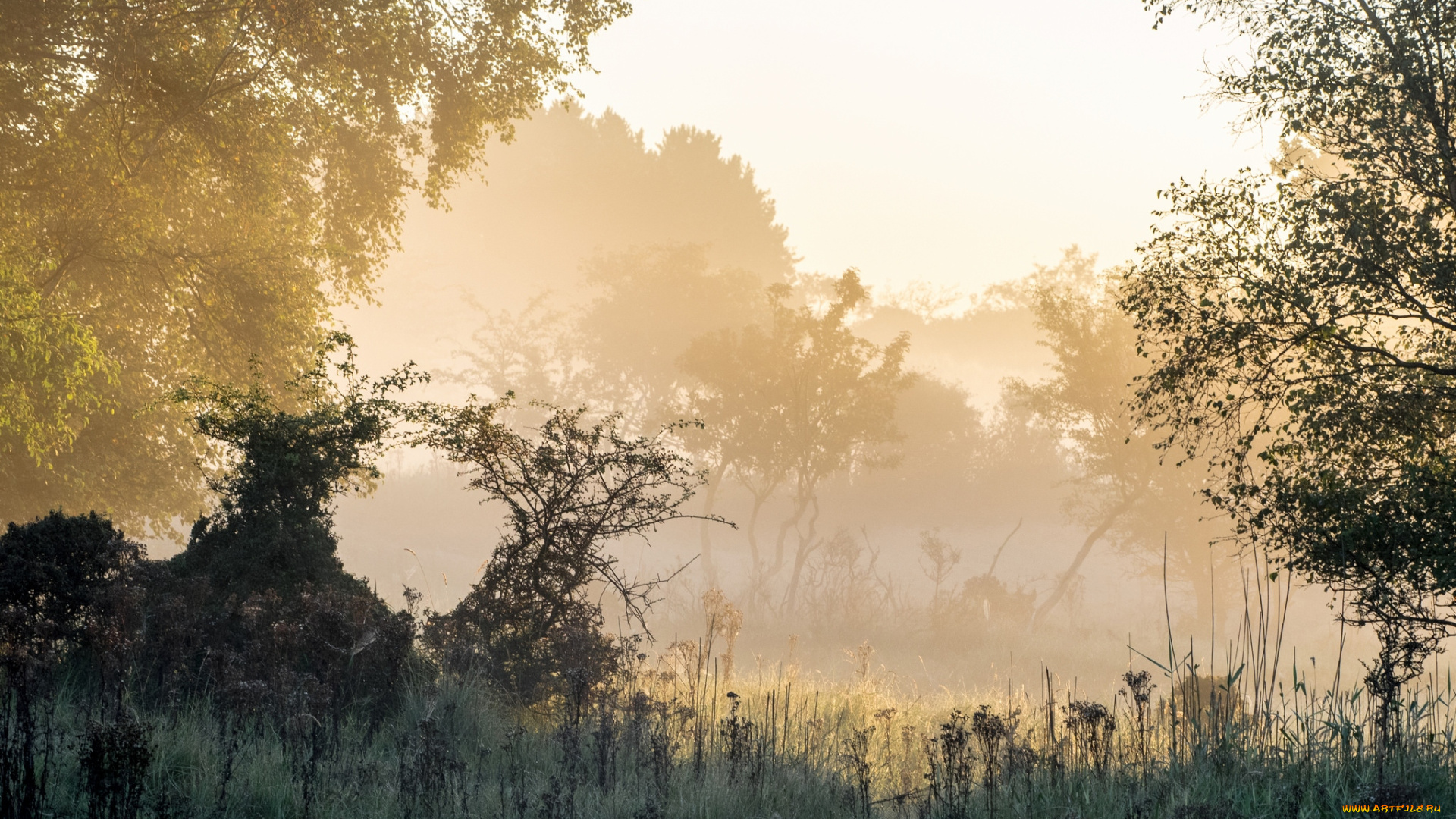 природа, пейзажи, простор