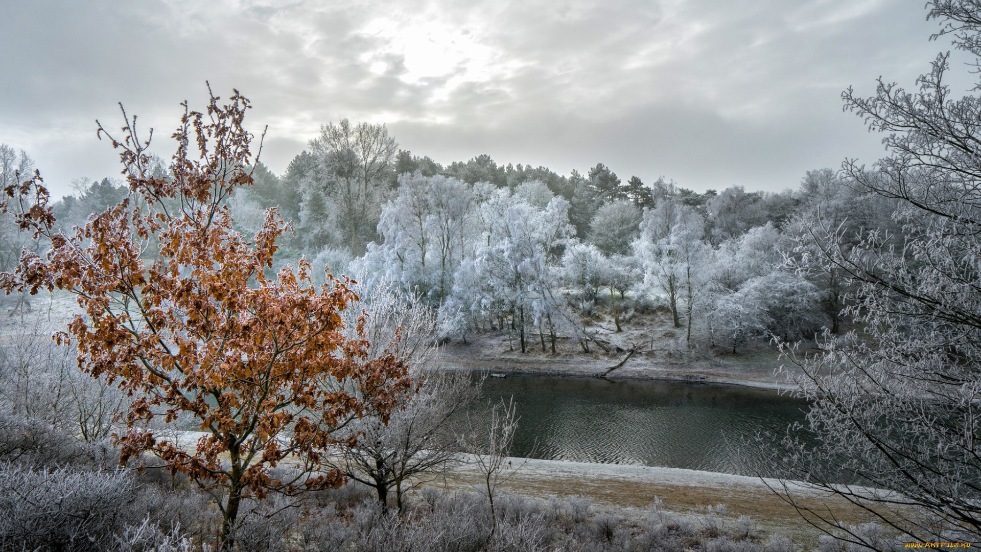 природа, пейзажи, простор
