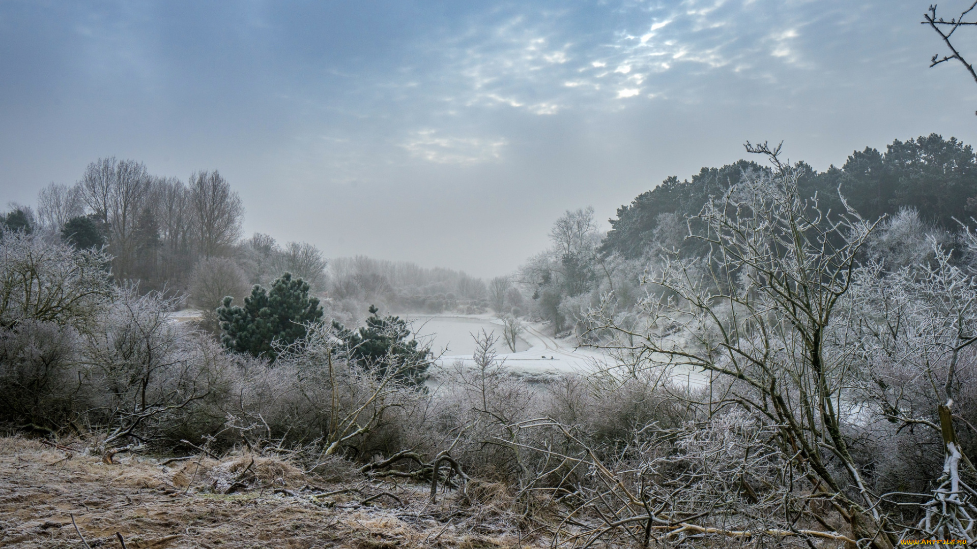природа, пейзажи, простор