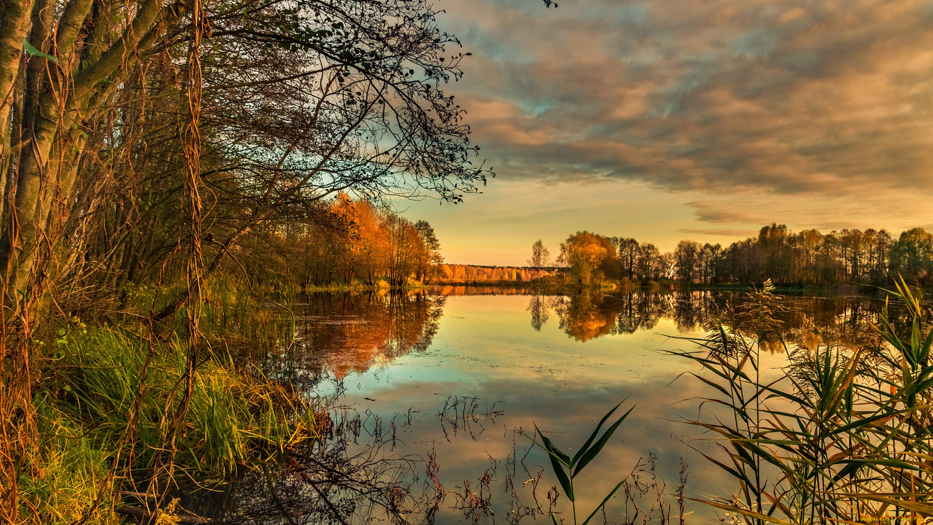 природа, реки, озера, простор