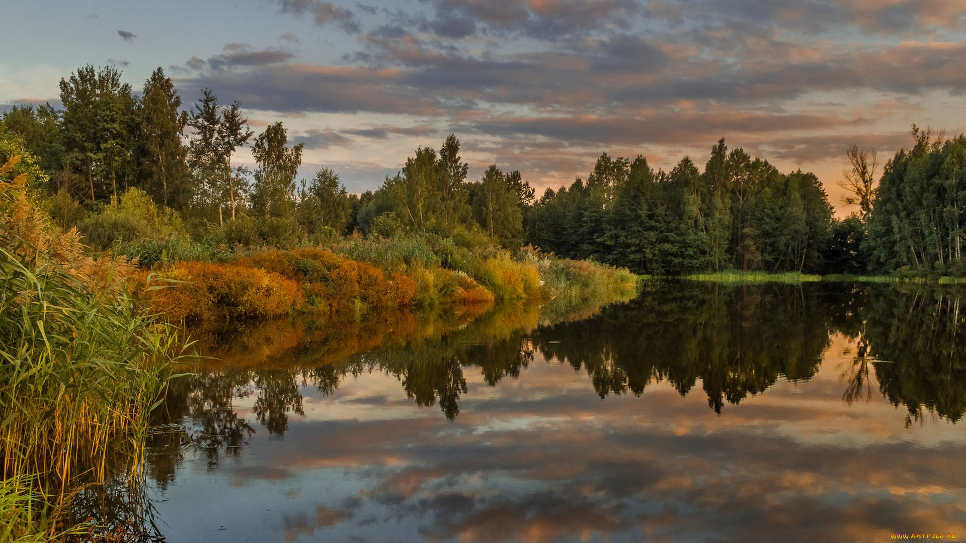 природа, реки, озера, простор