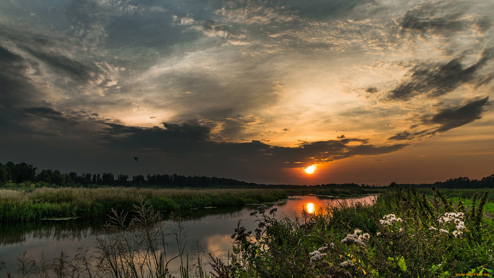 природа, реки, озера, простор