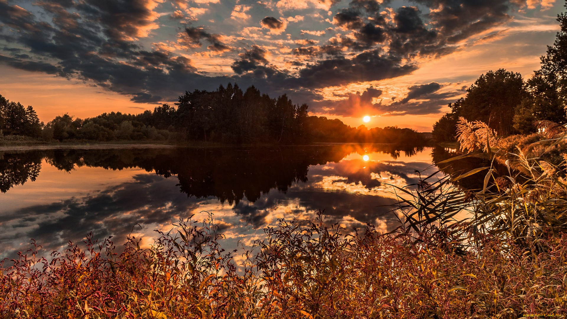 природа, реки, озера, простор