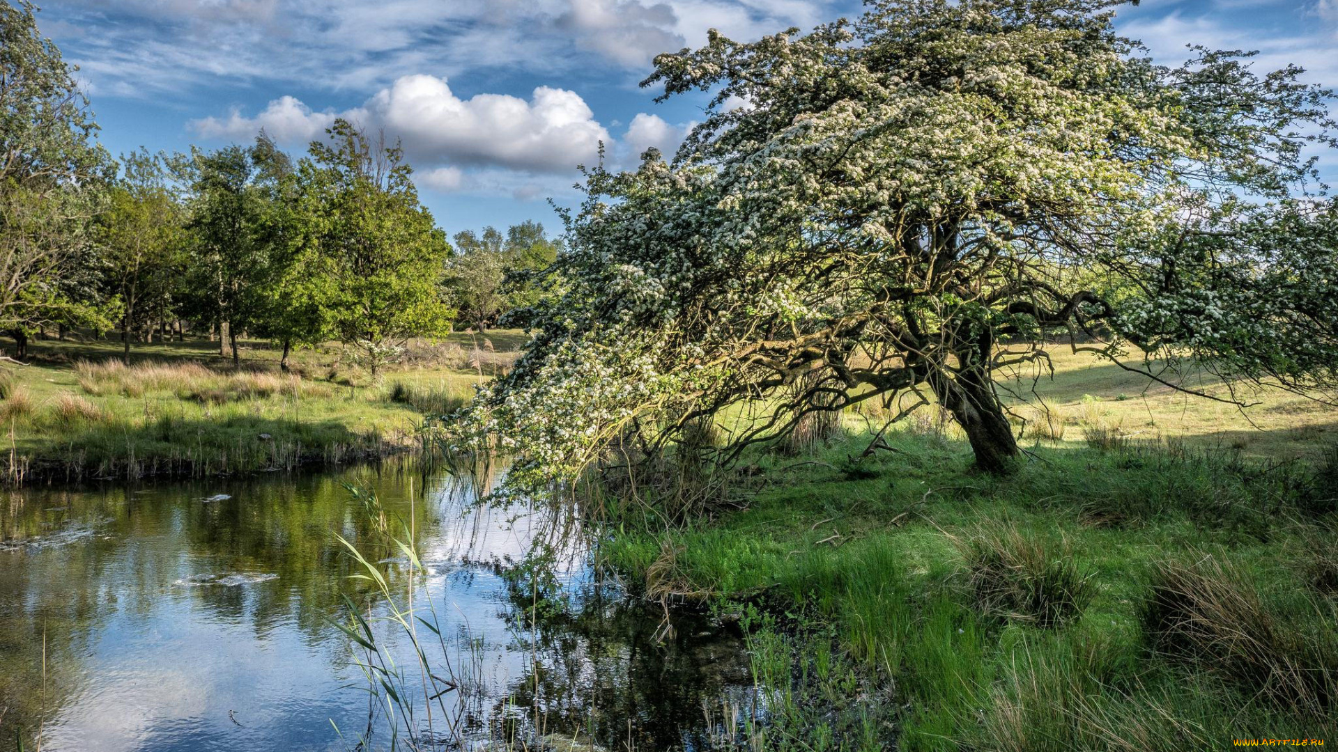 природа, реки, озера, простор