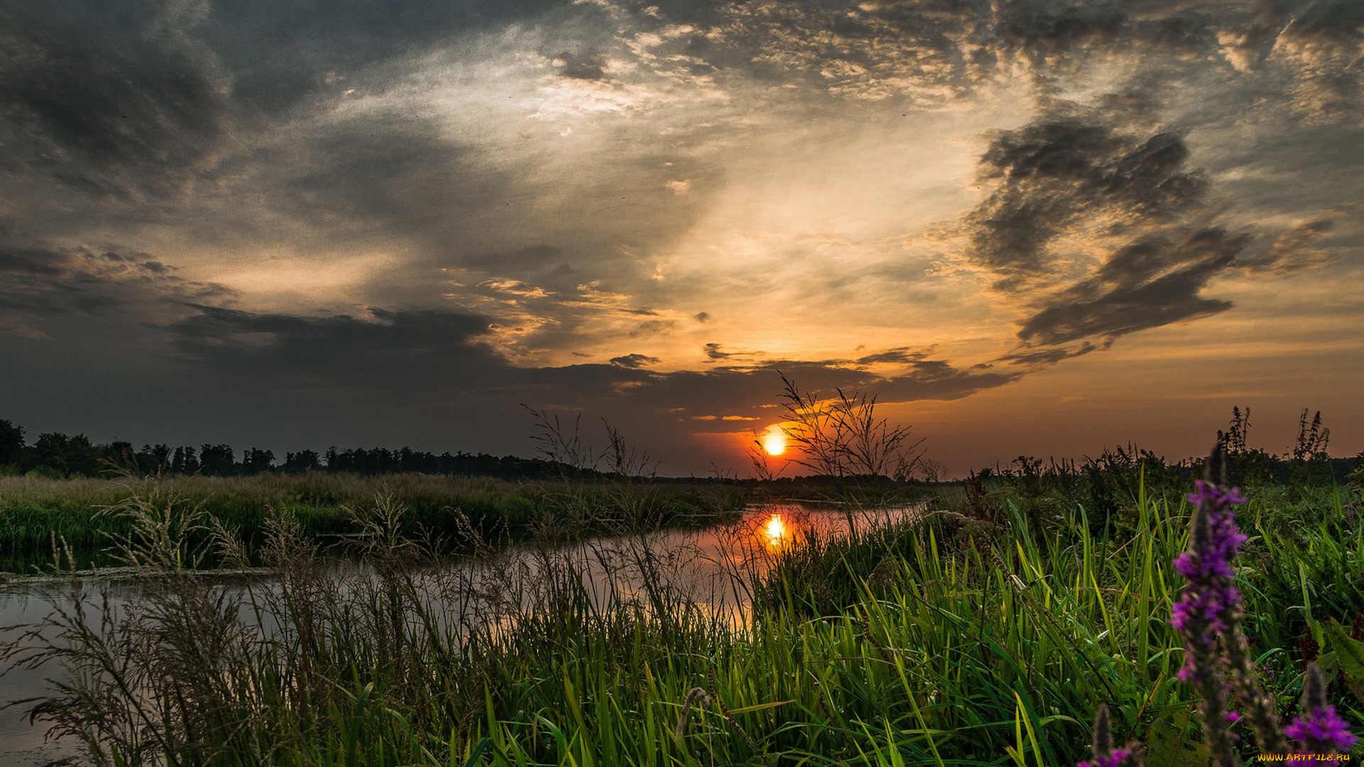 природа, реки, озера, простор