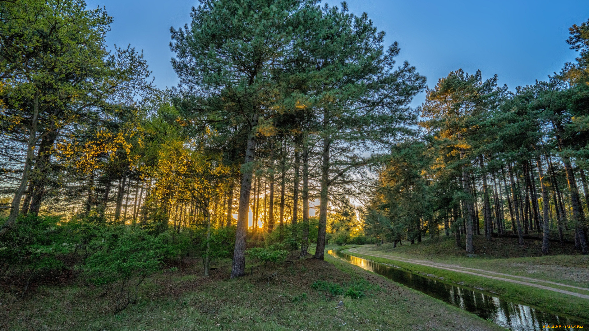 природа, реки, озера, простор