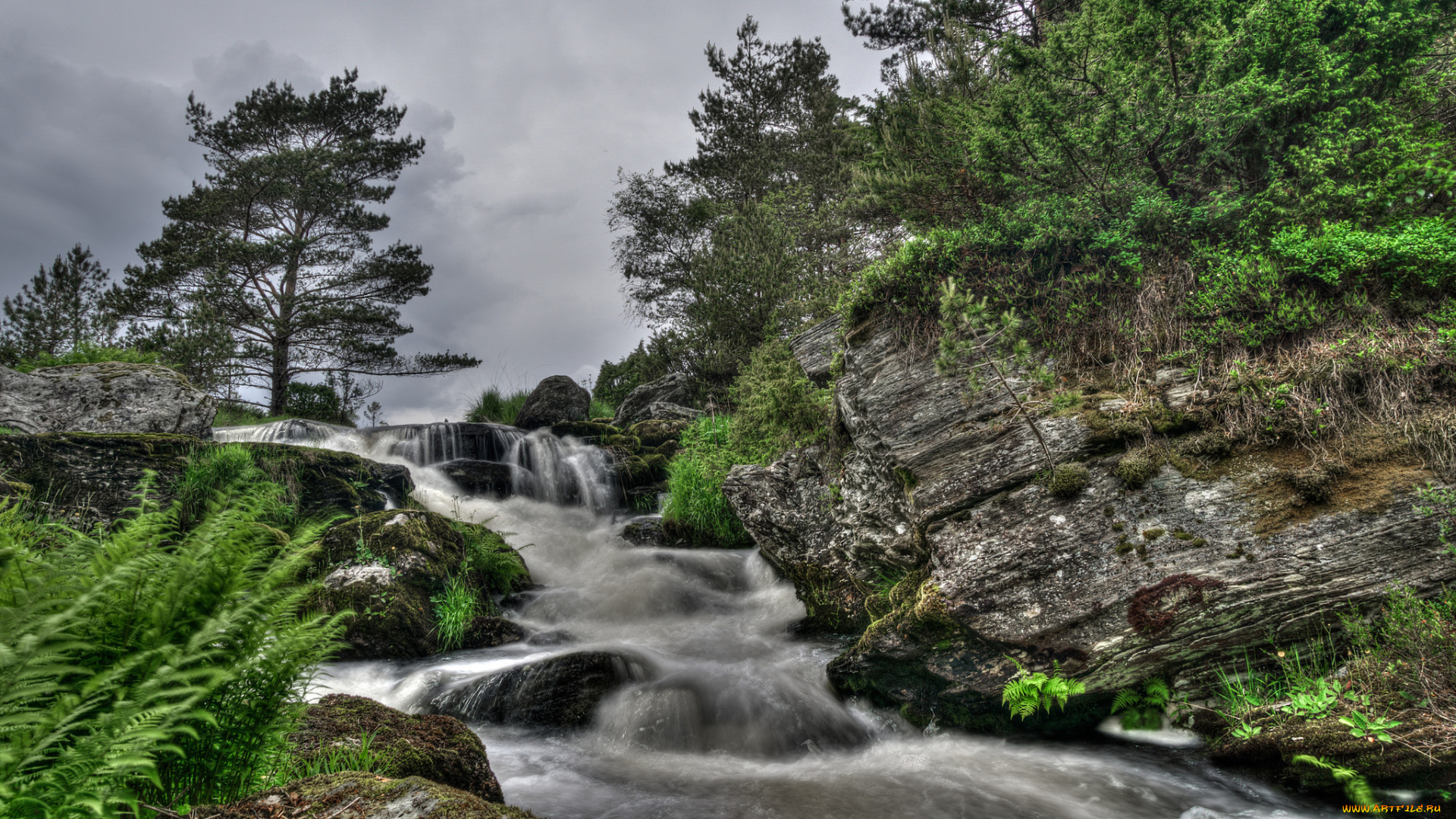 природа, реки, озера, простор