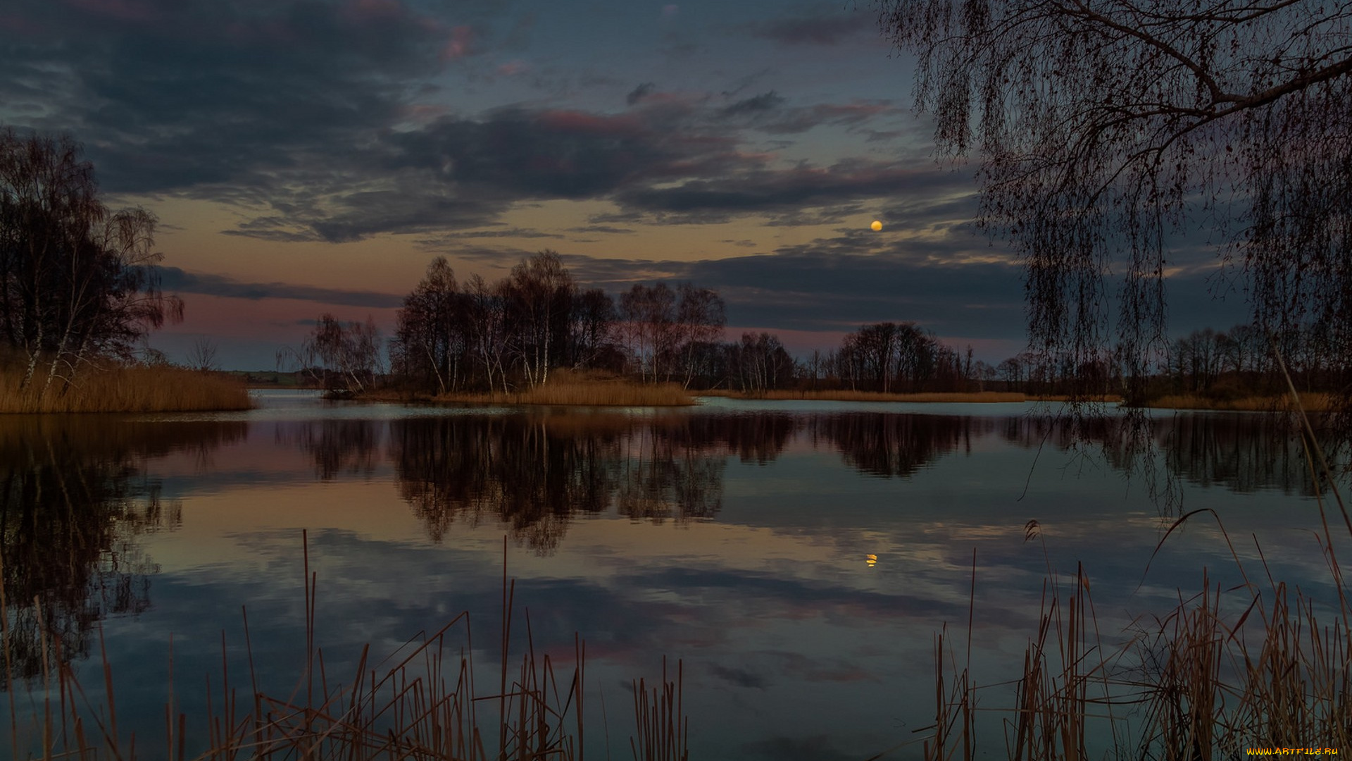 природа, реки, озера, простор