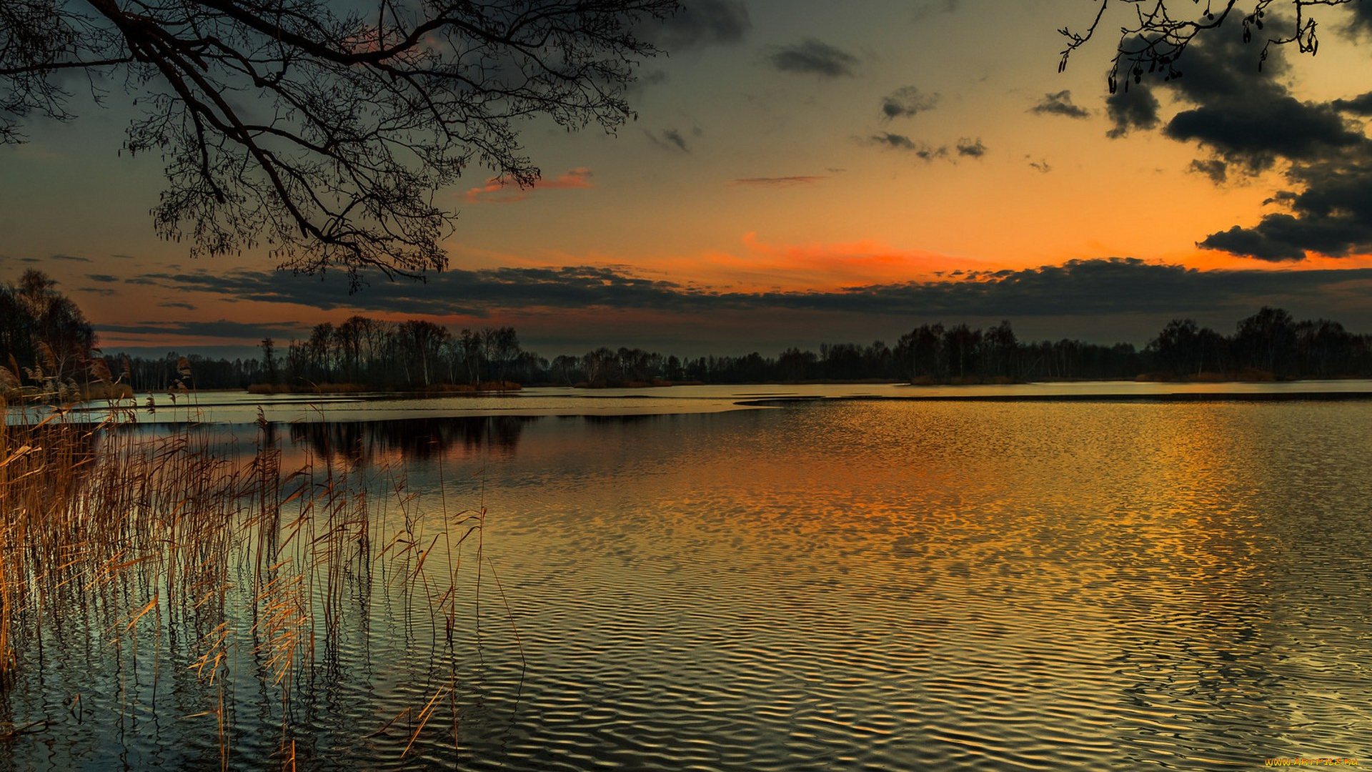 природа, реки, озера, простор