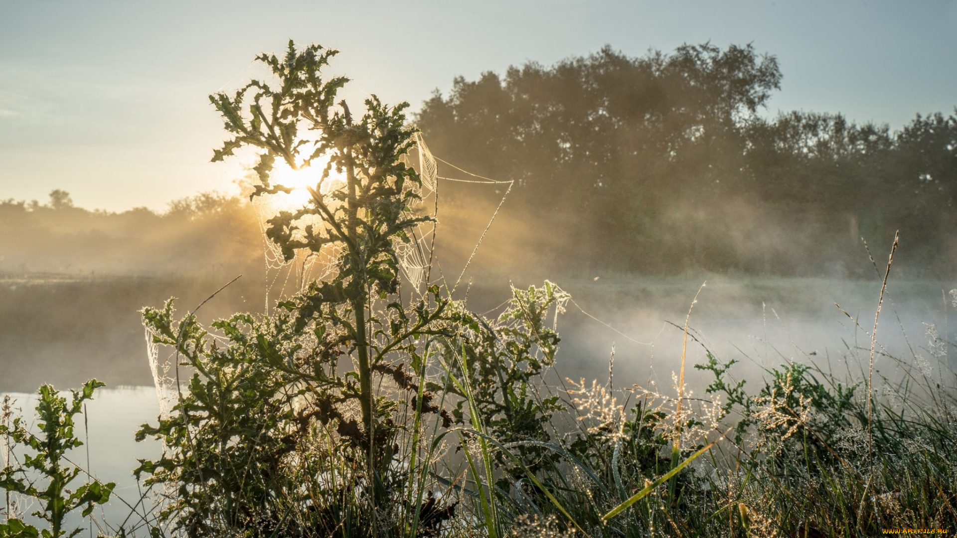 природа, реки, озера, простор