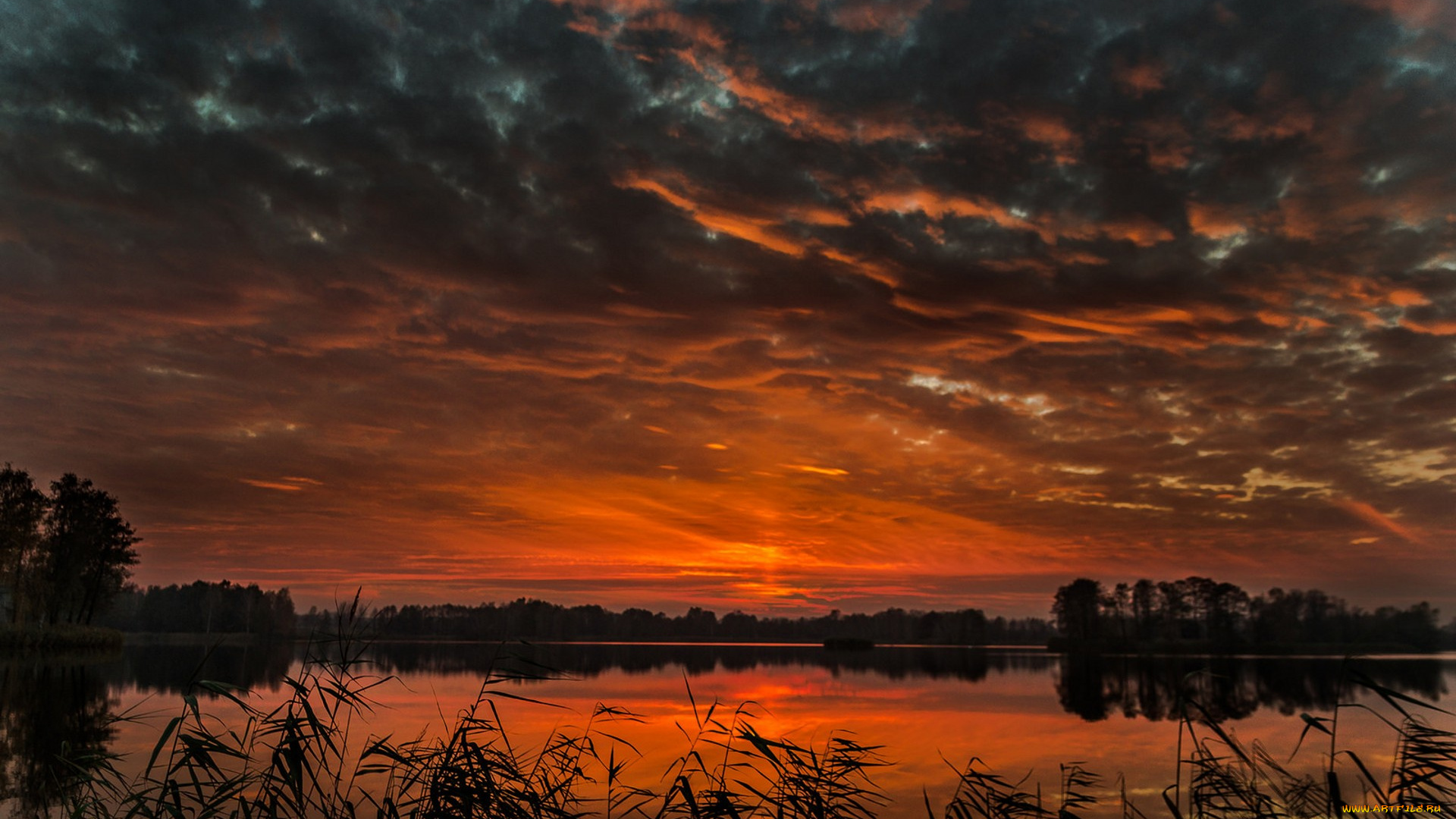 природа, восходы, закаты, простор