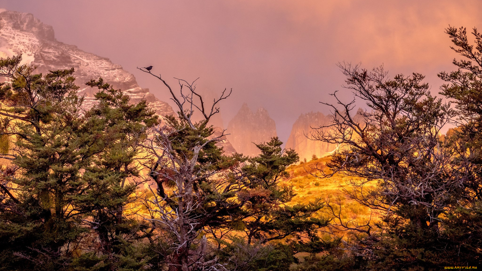 природа, восходы, закаты, простор